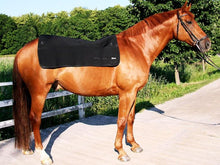 Load image into Gallery viewer, Back on Track Back Warmer-Back on Track-Back on Track-Evolution Equestrian Co.
