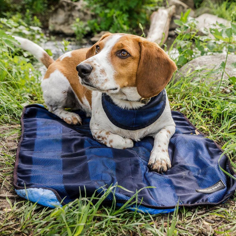 Back on Track Cool on Track Towel-Dog Products-Back on Track-53 cm x 76 cm-Evolution Equestrian Co.