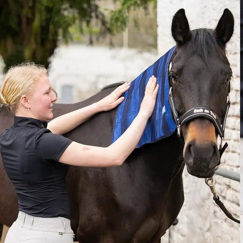 Back on Track Cool on Track Towel-Dog Products-Back on Track-53 cm x 76 cm-Evolution Equestrian Co.