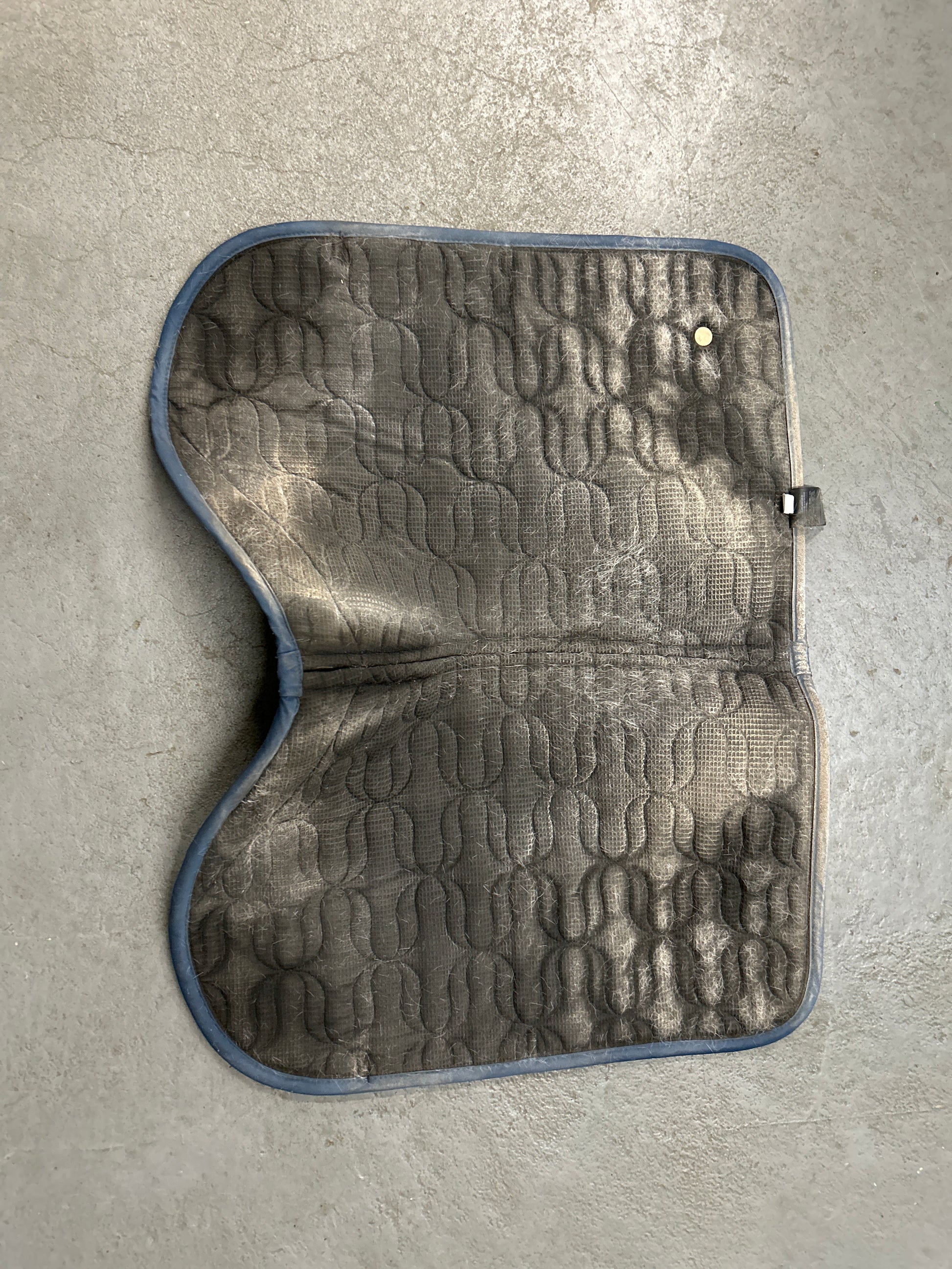 Back on Track Deep Nights Saddle Pad Blue-English Saddle Pad-Consignment-Evolution Equestrian Co.
