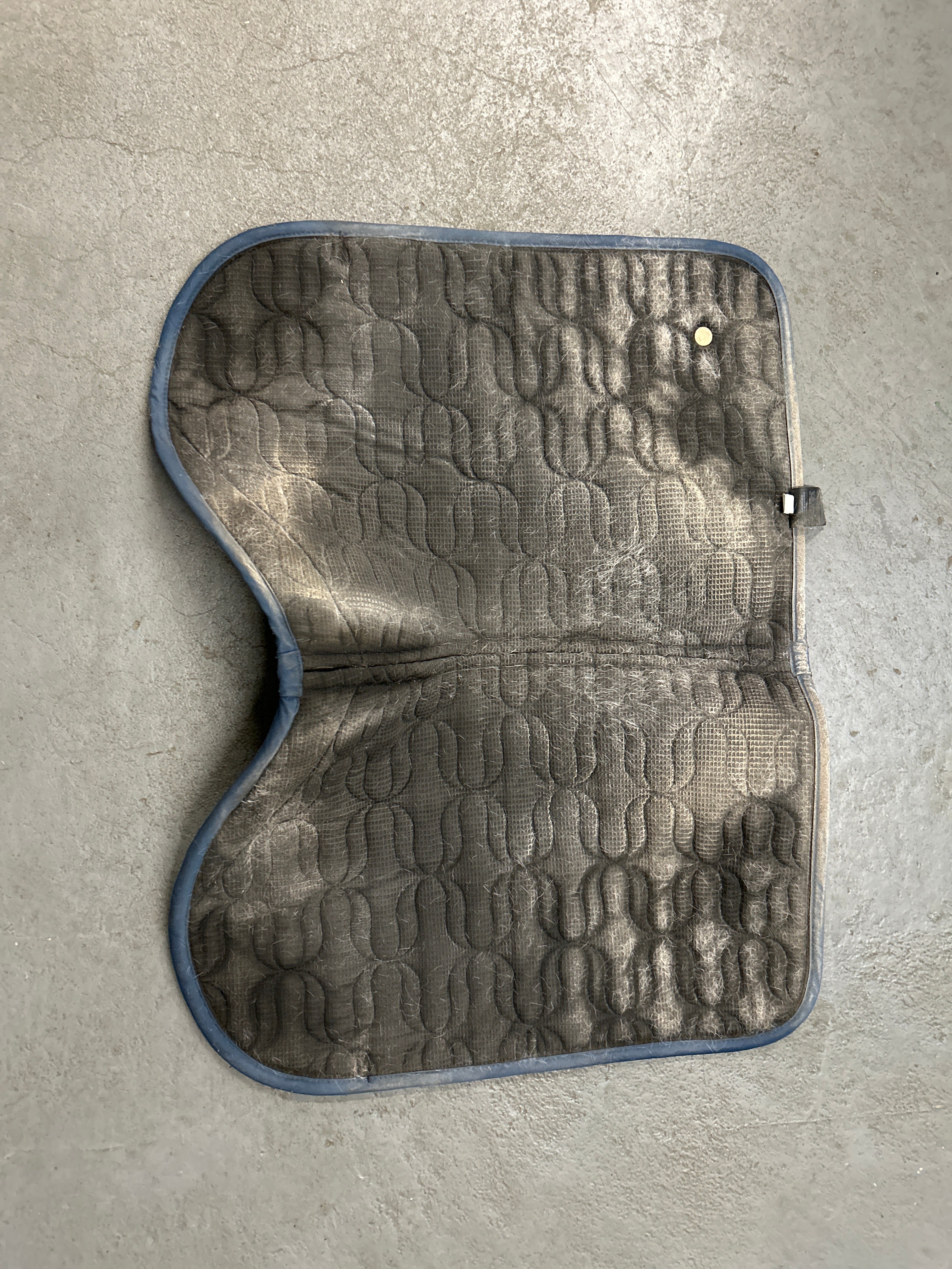 Back on Track Deep Nights Saddle Pad Blue-English Saddle Pad-Consignment-Evolution Equestrian Co.