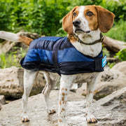 Back on Track Dog Cooling Coat-Back on Track-Back on Track-30 cm-Evolution Equestrian Co.