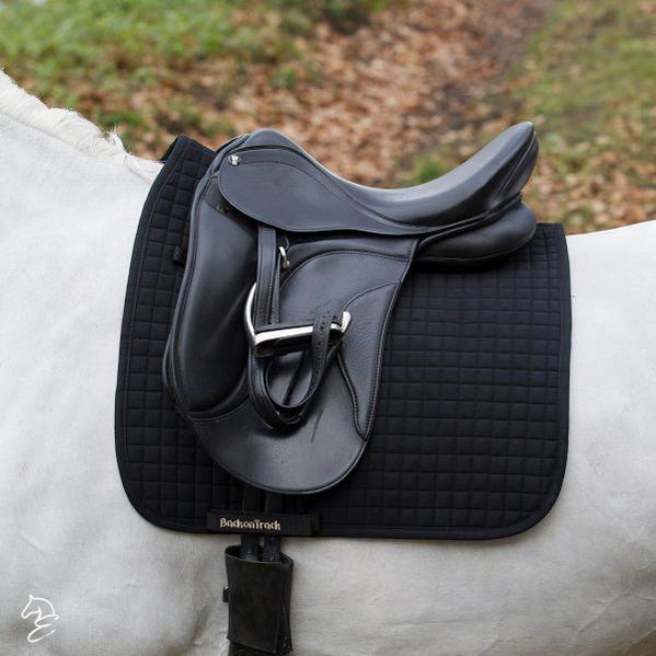 Back on Track Dressage Saddle Pad-Back on Track-Back on Track-Black-Evolution Equestrian Co.