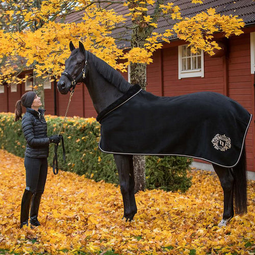 Back on Track Edward Wool Cooler-Horse Blanket-Back on Track-69