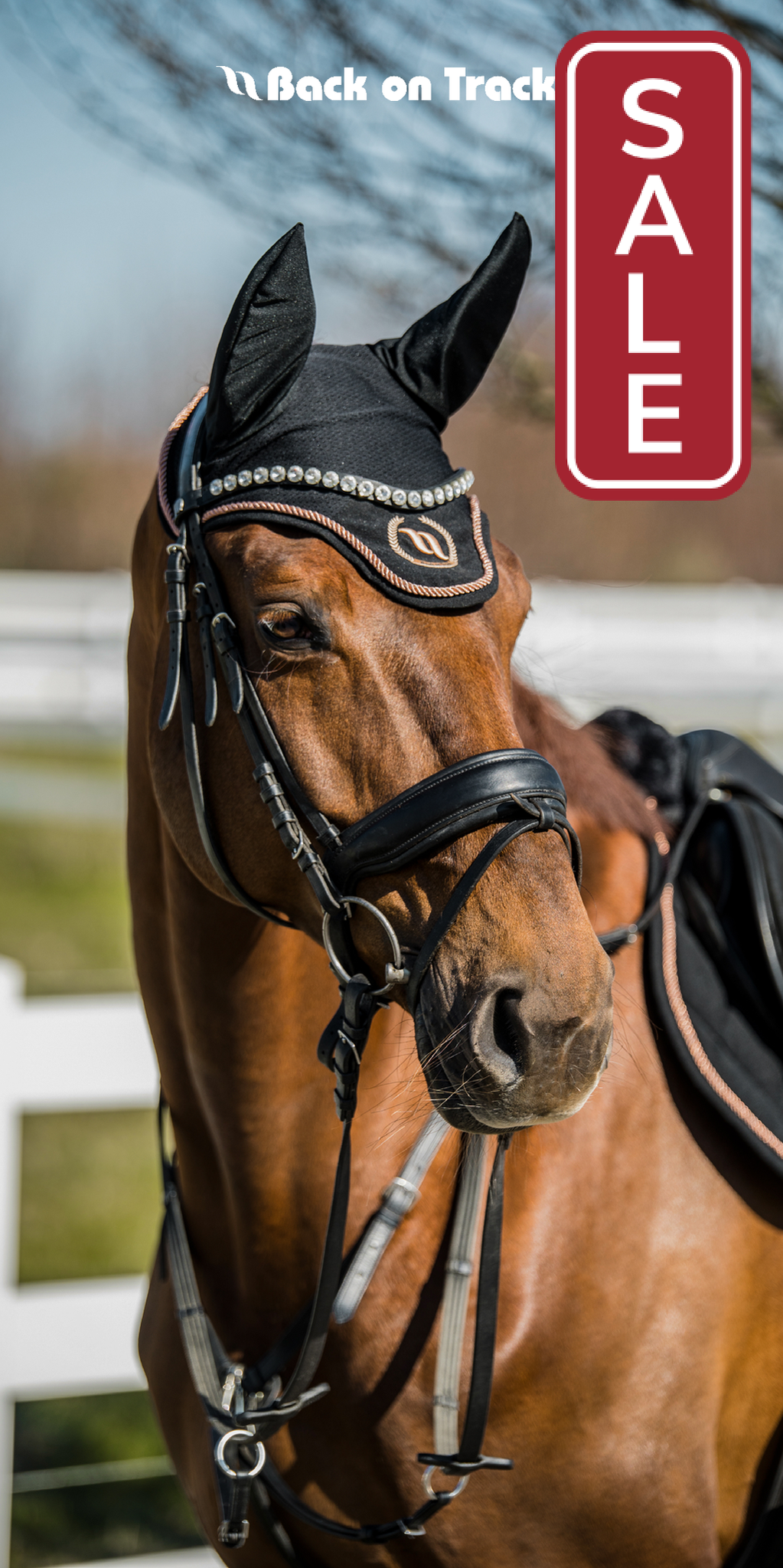 Back on Track Haze Collection Ear Nets-English Accessories-Back on Track-Grey with Black-Horse-Evolution Equestrian Co.