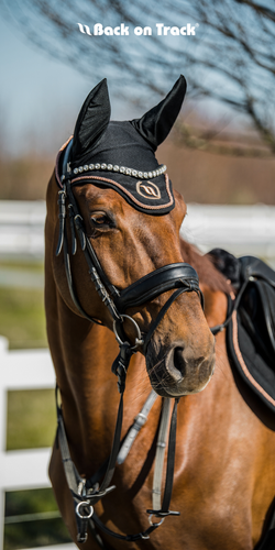 Back on Track Haze Collection Ear Nets-English Accessories-Back on Track-Grey with Black-Horse-Evolution Equestrian Co.