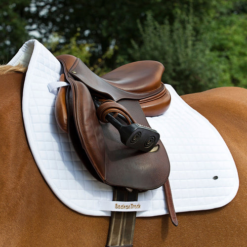 Back on Track Jumping Saddle Pad-Back on Track-Back on Track-Black-Evolution Equestrian Co.