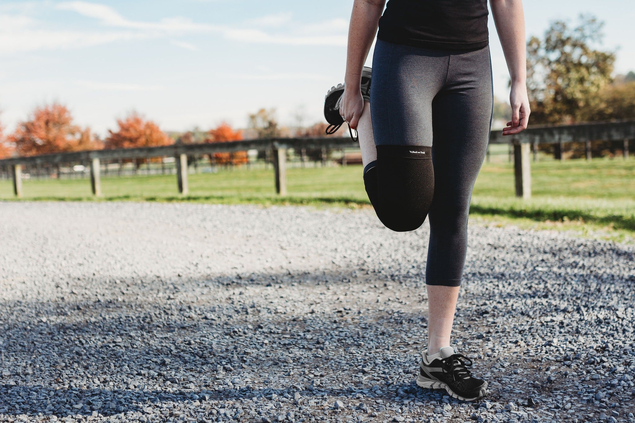 Back on Track Knee Brace-Back on Track-Back on Track-Small-Evolution Equestrian Co.