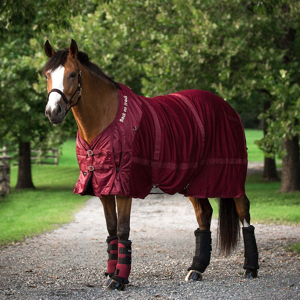 Back on Track Mesh Sheet with Neck Red 75"-Fly Sheet-Consignment-Evolution Equestrian Co.