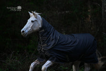 Load image into Gallery viewer, Back on Track Obsidian Turnout Blanket-Horse Blanket-Back on Track-72&quot; / 135-Evolution Equestrian Co.
