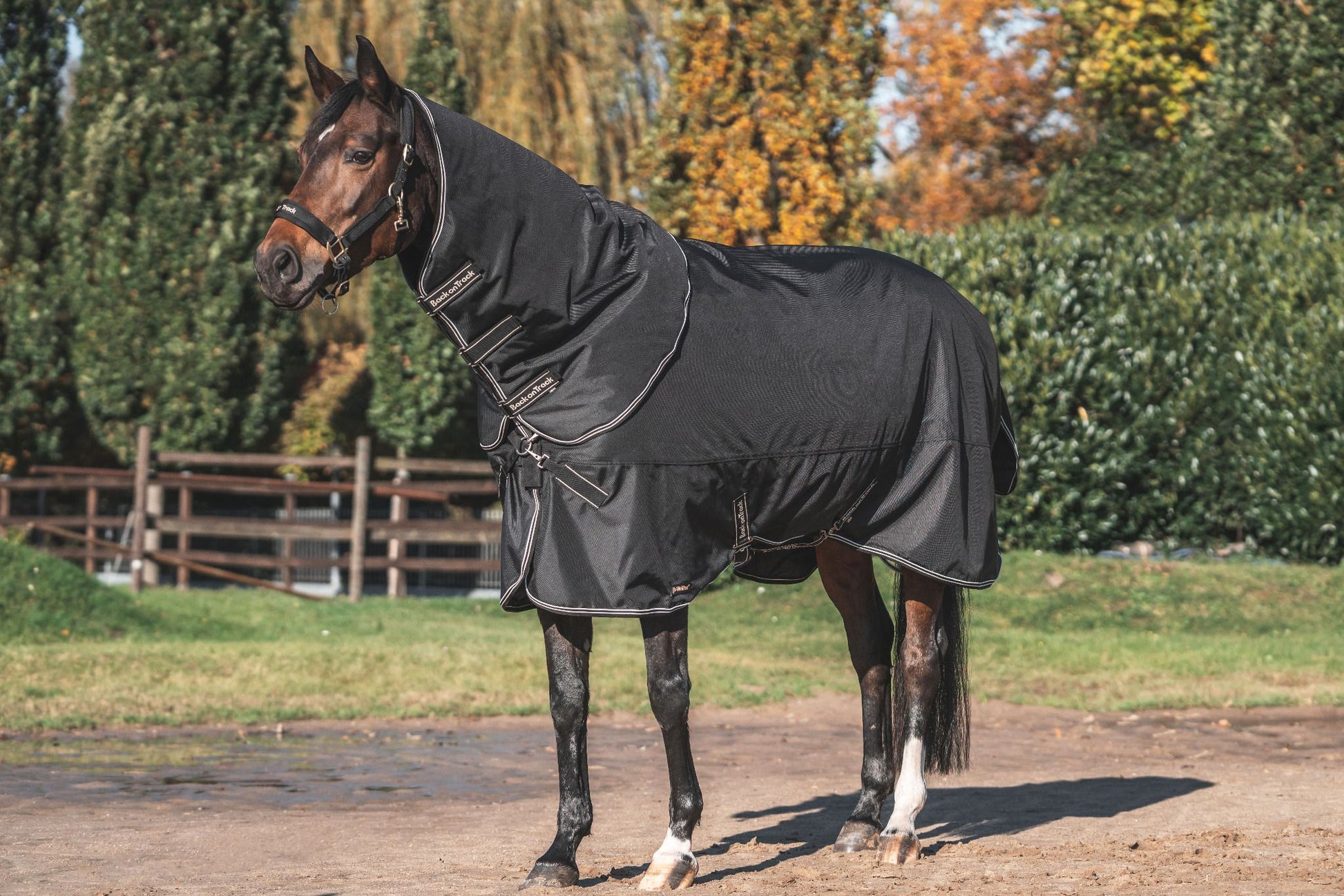 Back on Track Obsidian Turnout Blanket-Horse Blanket-Back on Track-72" / 135-Evolution Equestrian Co.