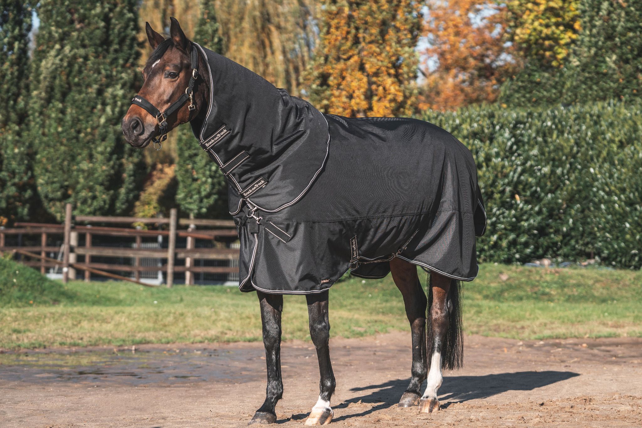 Back on Track Obsidian Turnout Blanket-Horse Blanket-Back on Track-72" / 135-Evolution Equestrian Co.