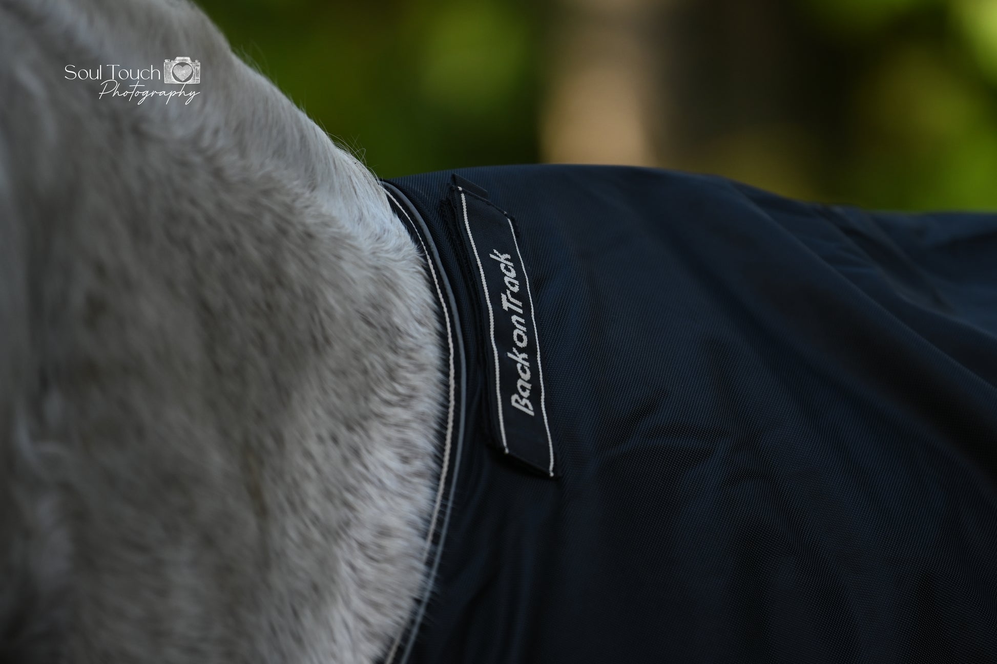 Back on Track Obsidian Turnout Blanket-Horse Blanket-Back on Track-72" / 135-Evolution Equestrian Co.