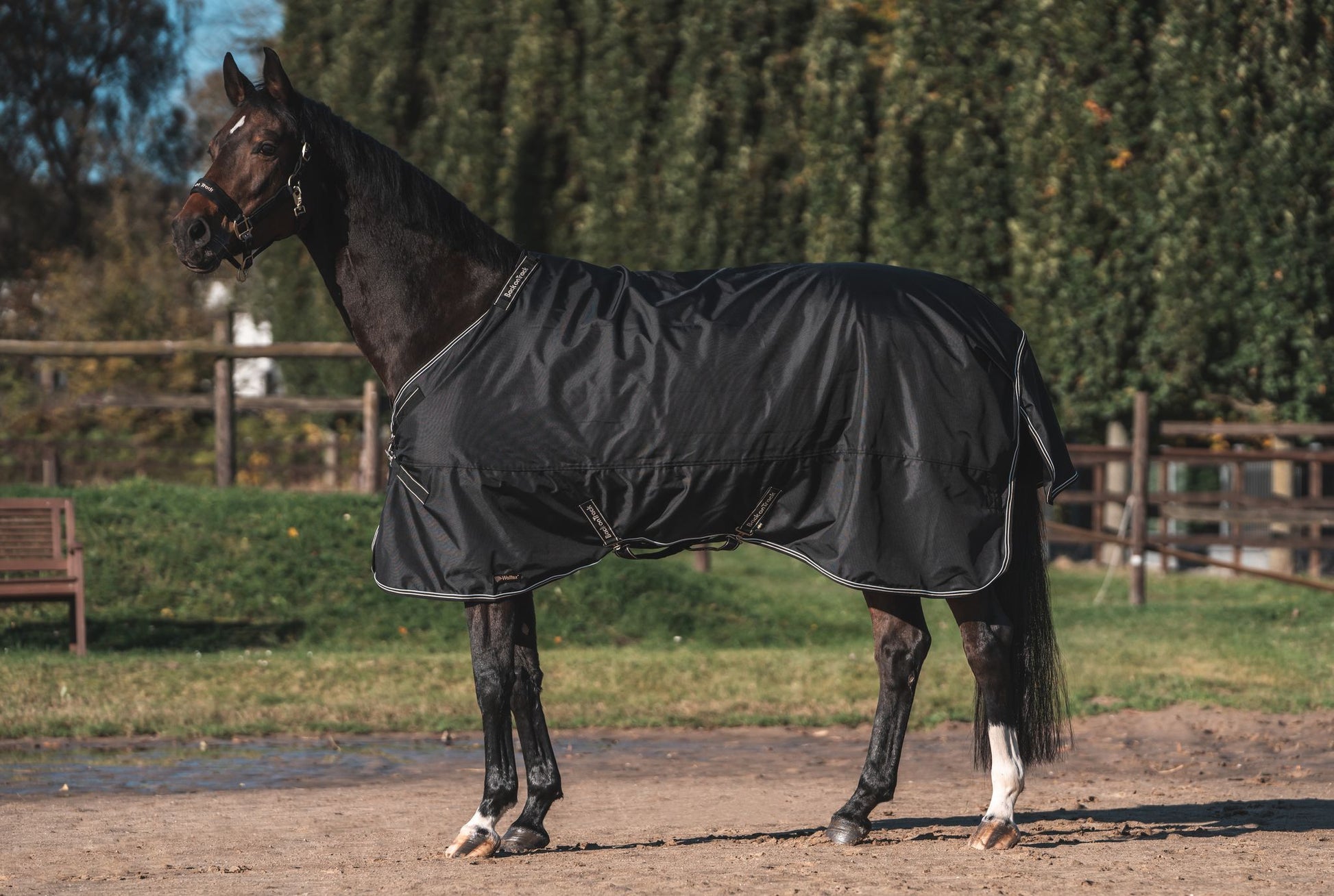 Back on Track Obsidian Turnout Blanket-Horse Blanket-Back on Track-75" / 140-Evolution Equestrian Co.
