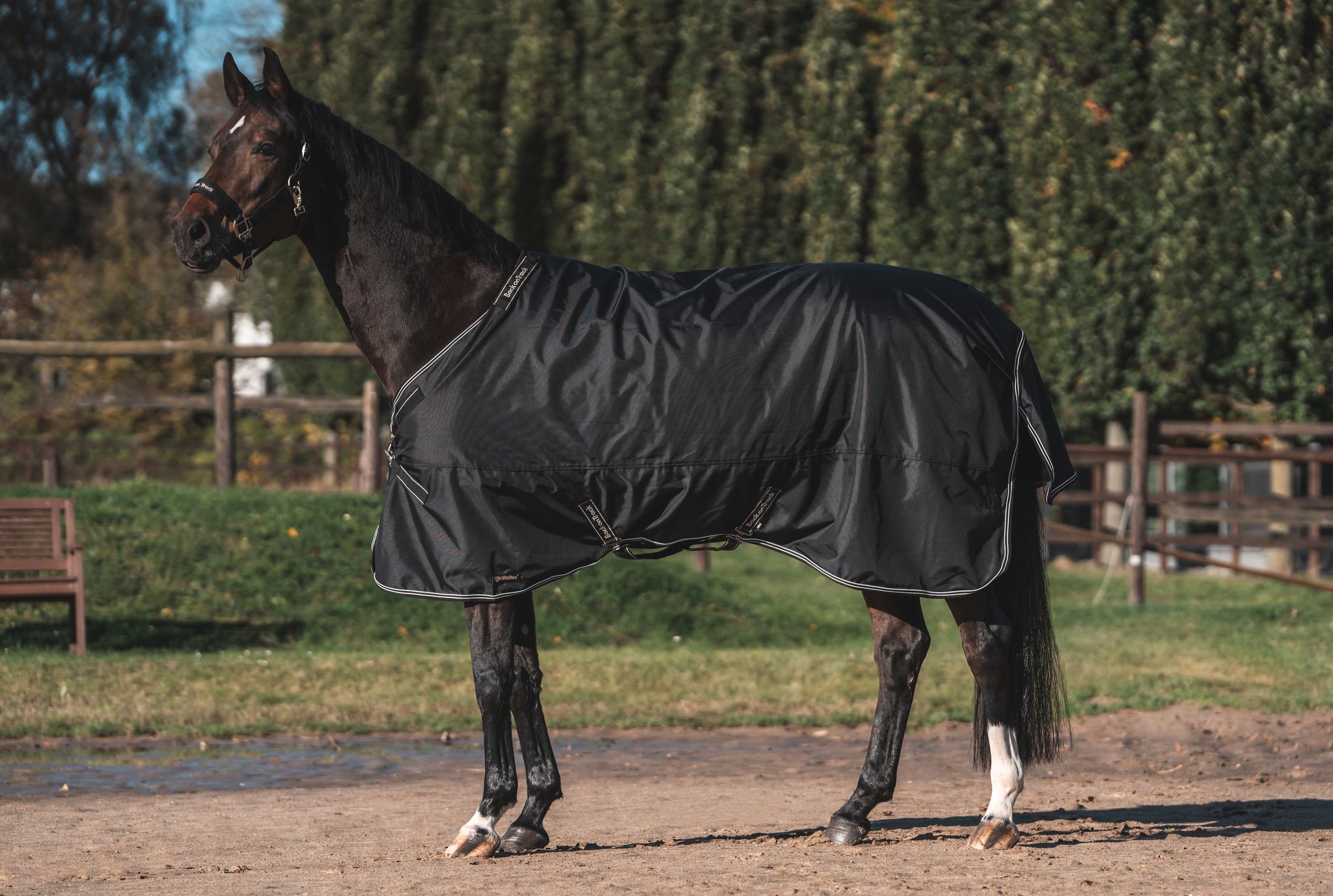 Back on Track Obsidian Turnout Blanket-Horse Blanket-Back on Track-75" / 140-Evolution Equestrian Co.