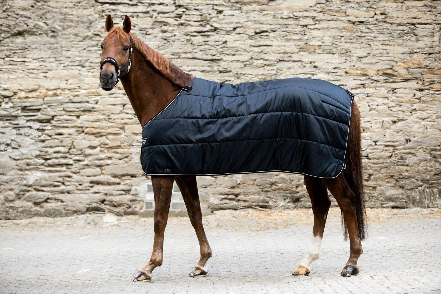 Back on Track Rhyolite Blanket Liner-Horse Blanket-Back on Track-72" / 135-100g-Evolution Equestrian Co.
