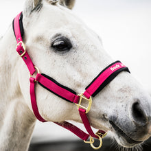 Load image into Gallery viewer, Back on Track Werano Halter-Back on Track-Back on Track-Purple-Pony-Evolution Equestrian Co.
