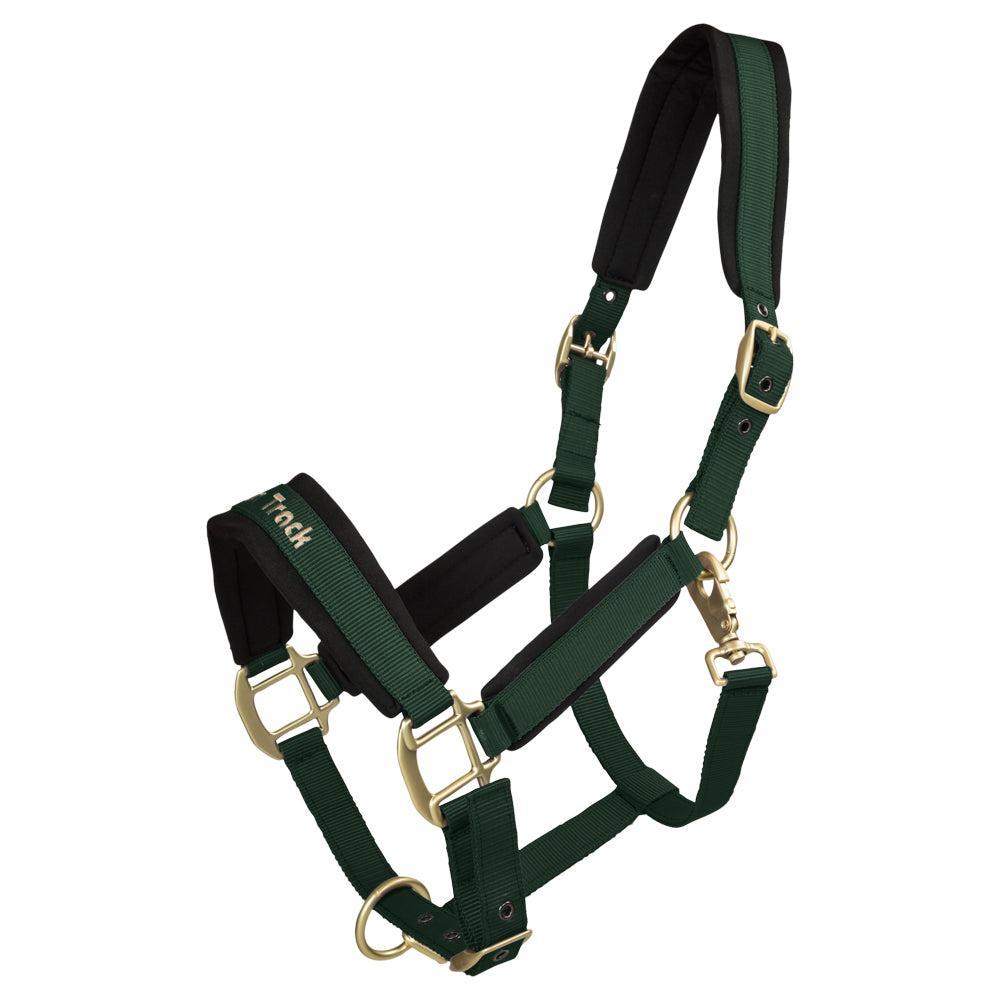 Back on Track Werano Halter-Back on Track-Back on Track-Hunter Green-Pony-Evolution Equestrian Co.