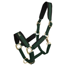 Load image into Gallery viewer, Back on Track Werano Halter-Back on Track-Back on Track-Hunter Green-Pony-Evolution Equestrian Co.

