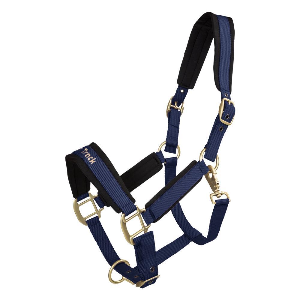 Back on Track Werano Halter-Back on Track-Back on Track-Blue-Pony-Evolution Equestrian Co.