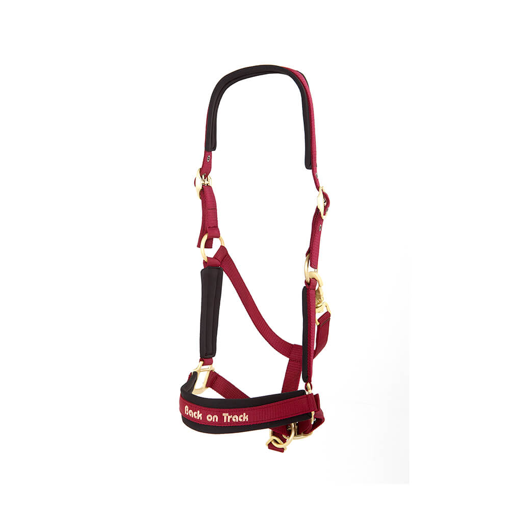 Back on Track Werano Halter-Back on Track-Back on Track-Wine-Pony-Evolution Equestrian Co.