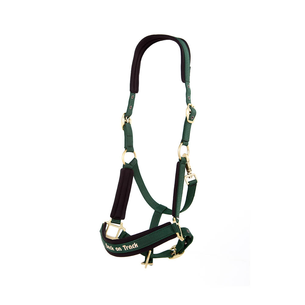 Back on Track Werano Halter-Back on Track-Back on Track-Purple-Pony-Evolution Equestrian Co.