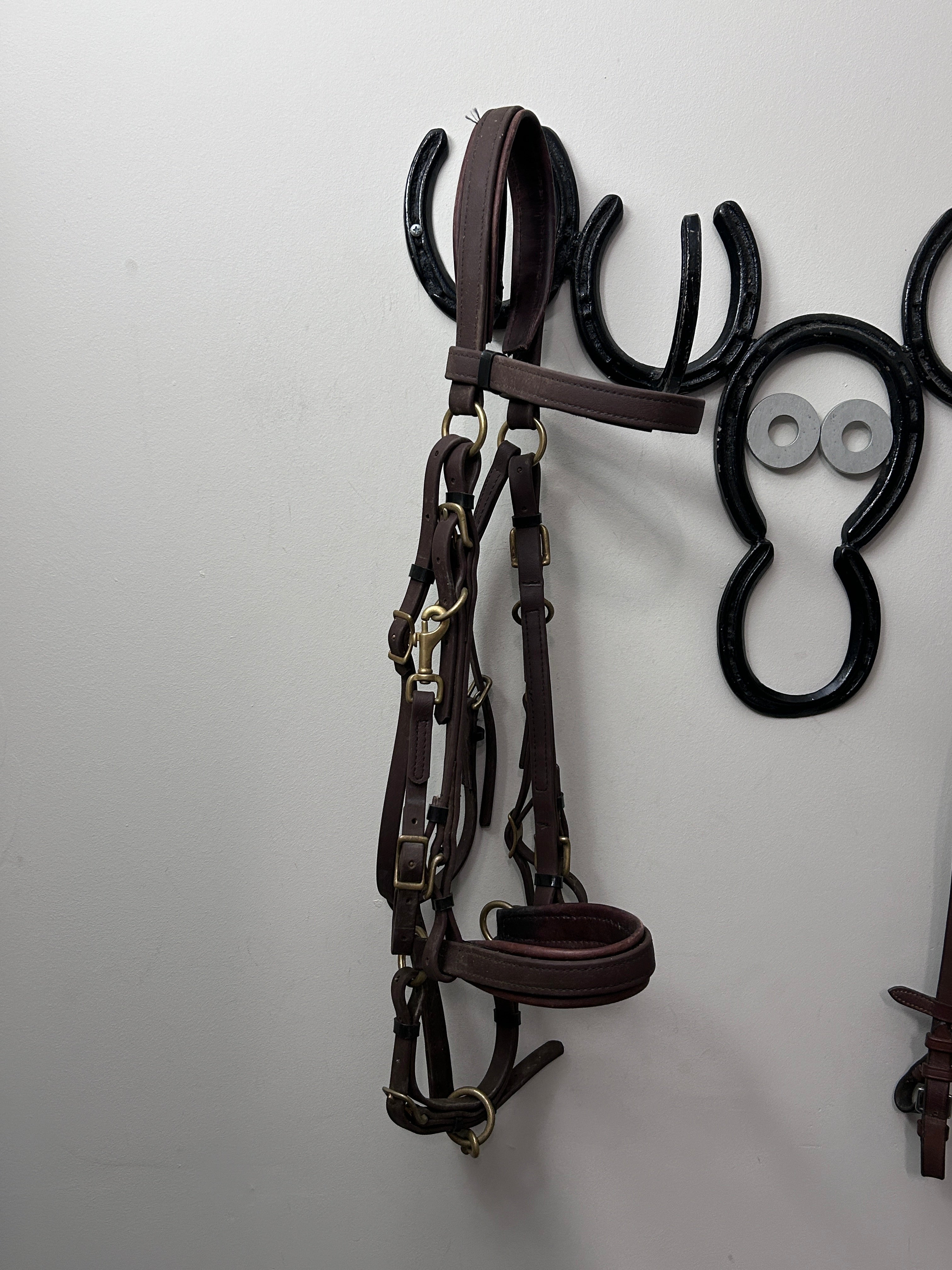 Biothane Adjustable Halter Bridle Brown Cob-Bridles-Consignment-Evolution Equestrian Co.