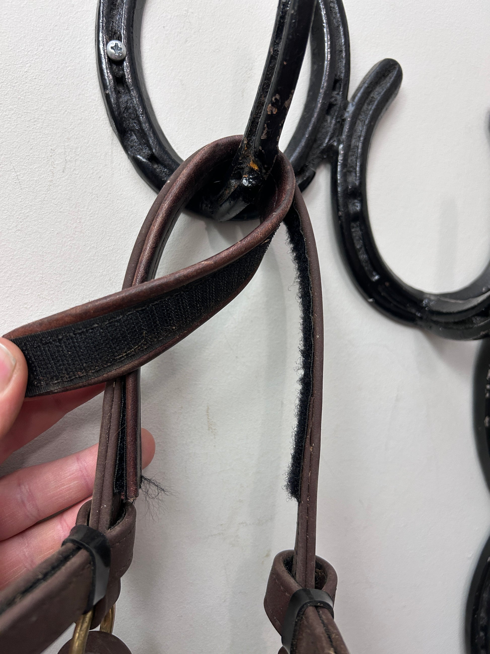 Biothane Adjustable Halter Bridle Brown Cob-Bridles-Consignment-Evolution Equestrian Co.
