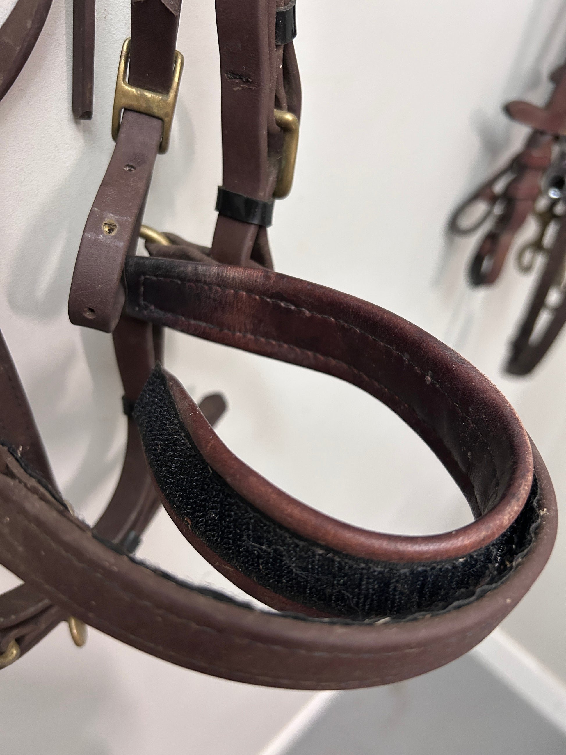 Biothane Adjustable Halter Bridle Brown Cob-Bridles-Consignment-Evolution Equestrian Co.
