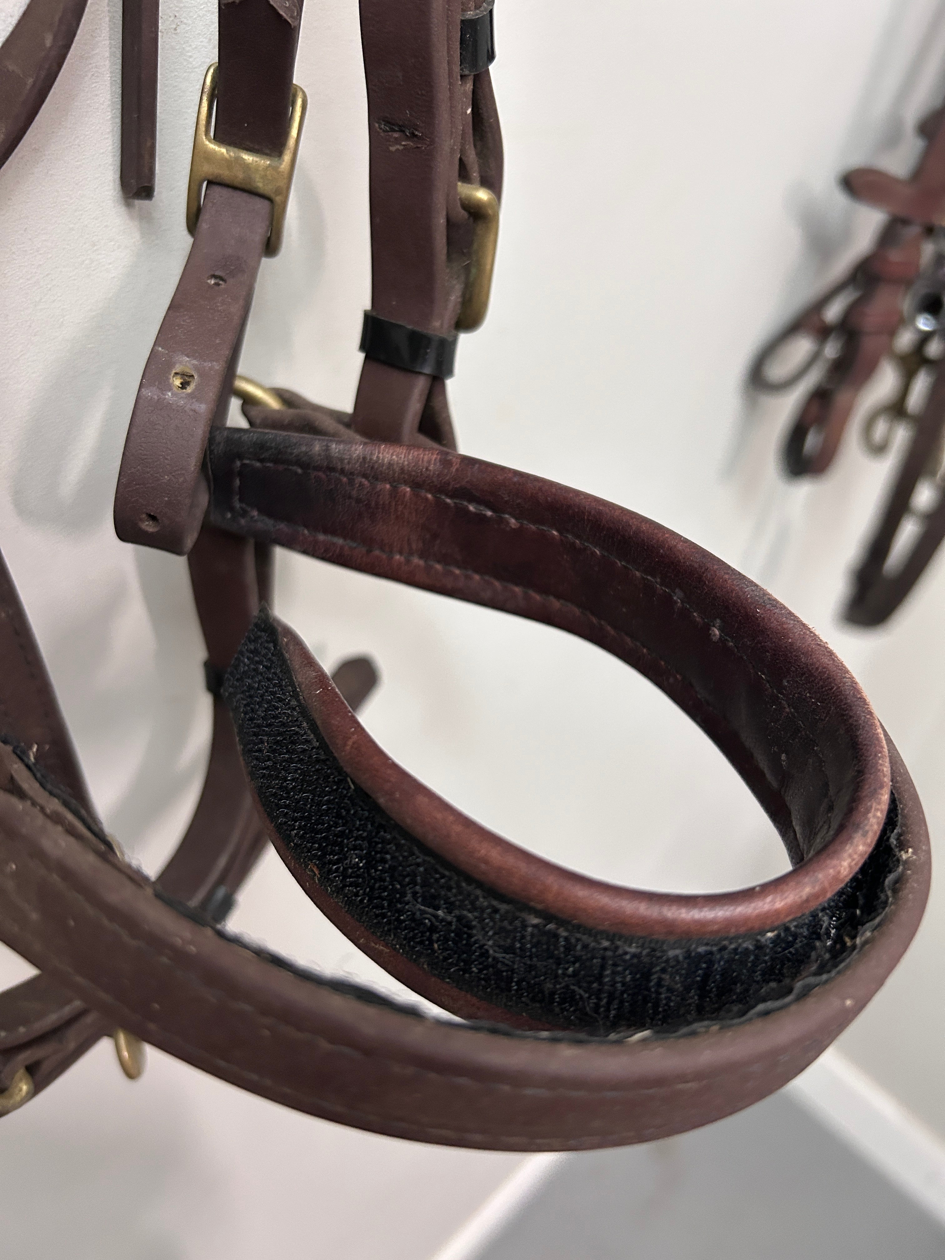 Biothane Adjustable Halter Bridle Brown Cob-Bridles-Consignment-Evolution Equestrian Co.