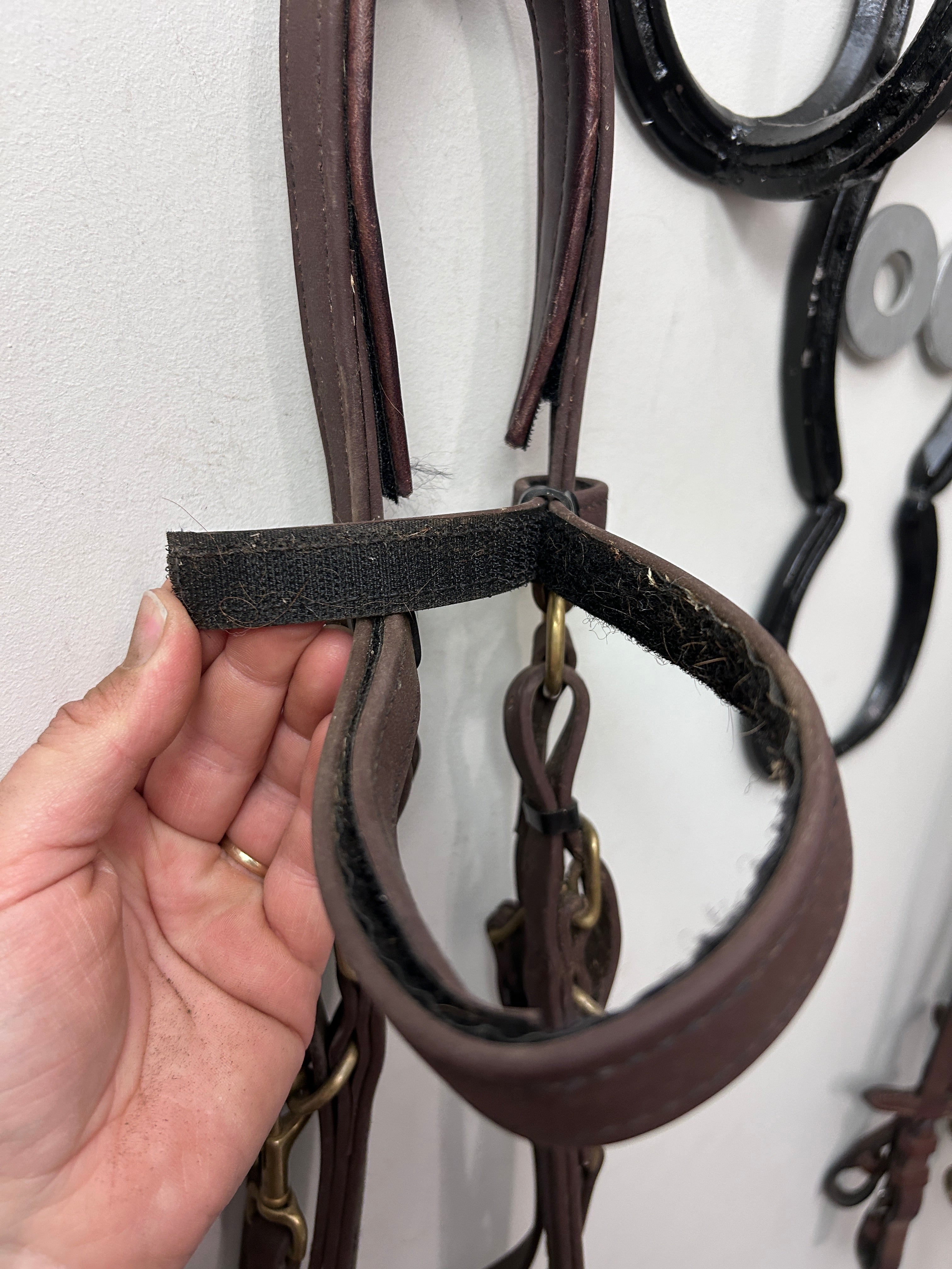 Biothane Adjustable Halter Bridle Brown Cob-Bridles-Consignment-Evolution Equestrian Co.