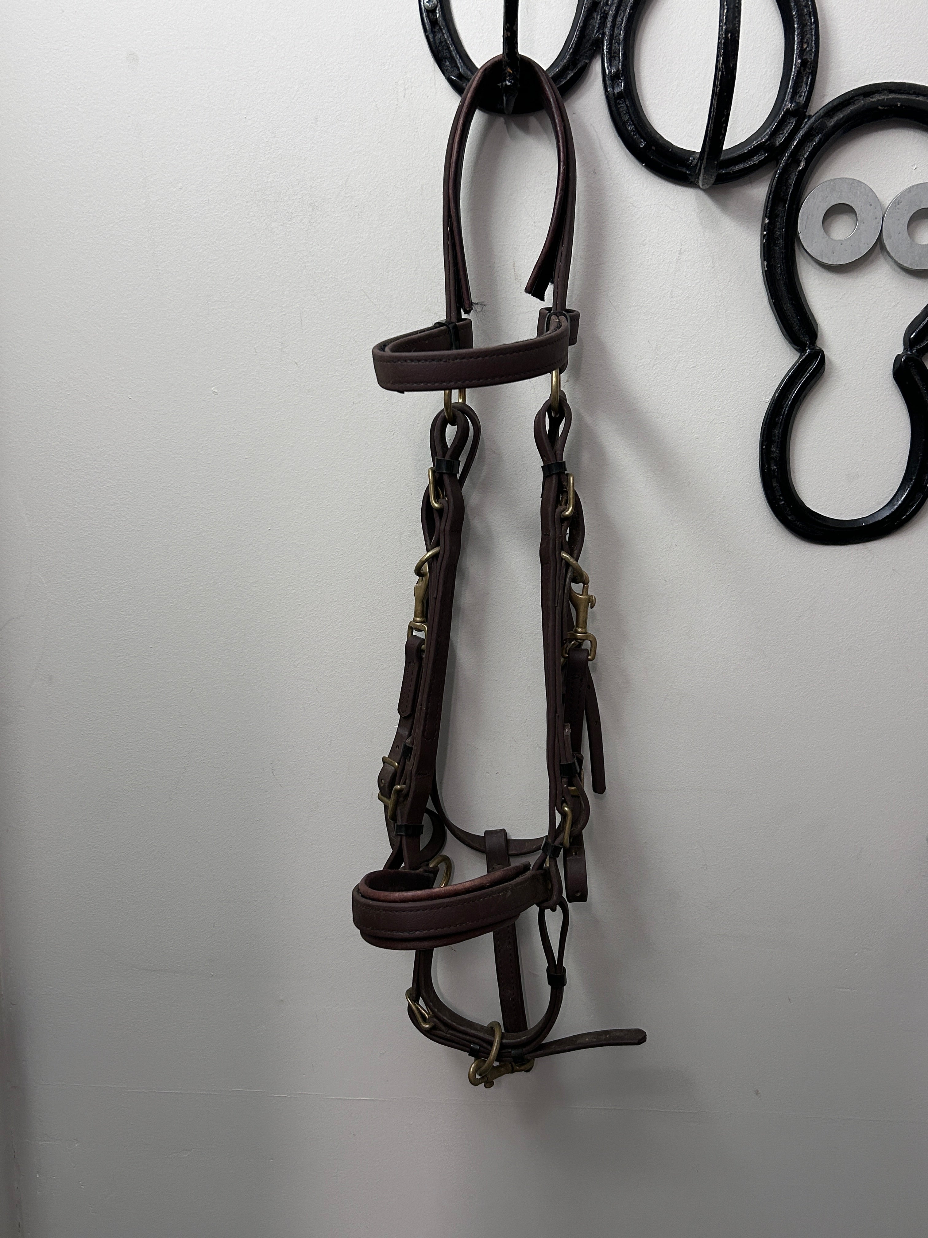 Biothane Adjustable Halter Bridle Brown Cob-Bridles-Consignment-Evolution Equestrian Co.