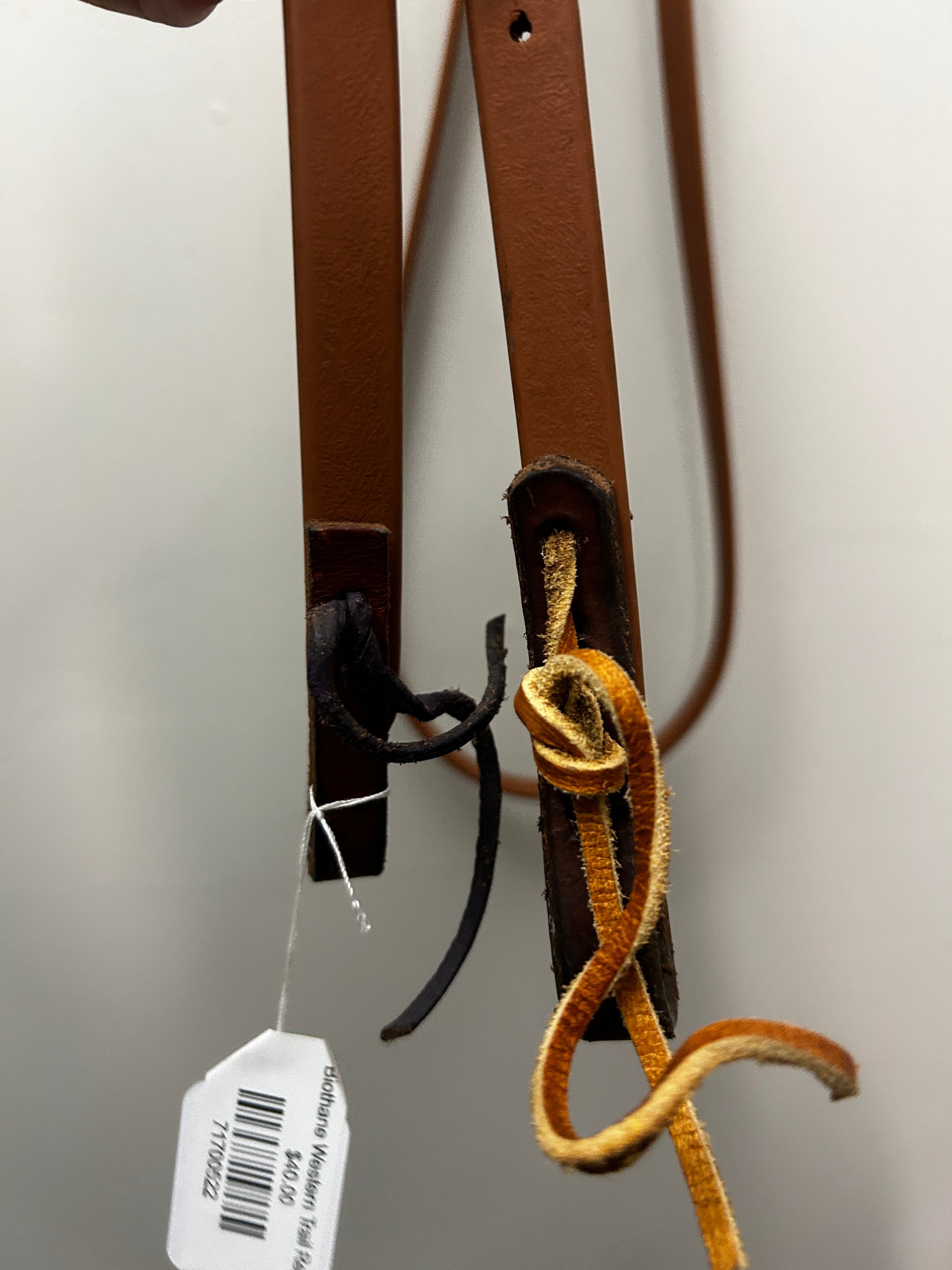 Biothane Western Trail Reins-Western Reins-Consignment-Evolution Equestrian Co.