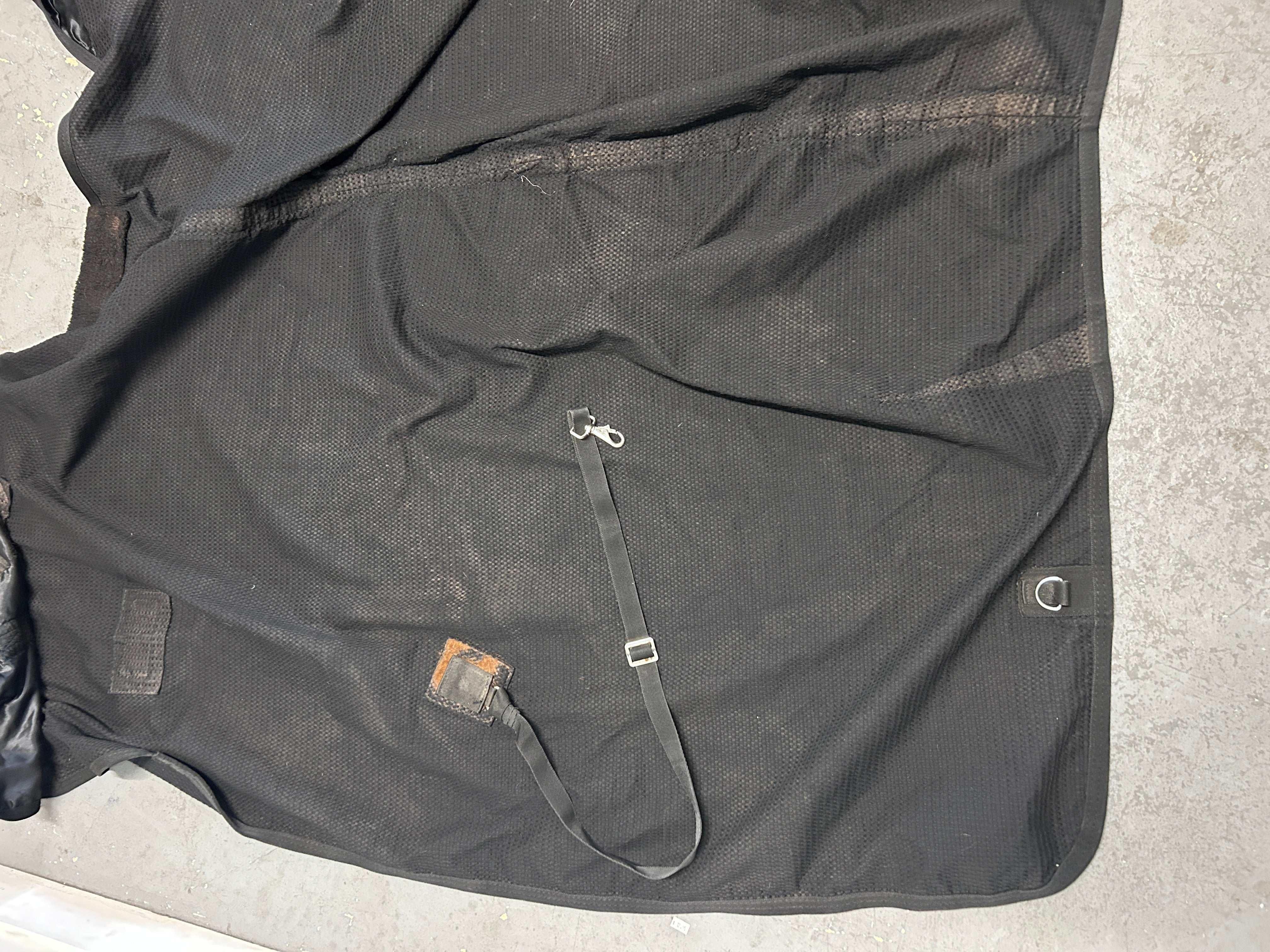 Black Cotton Sheet 78"-Horse Blanket-Consignment-Evolution Equestrian Co.