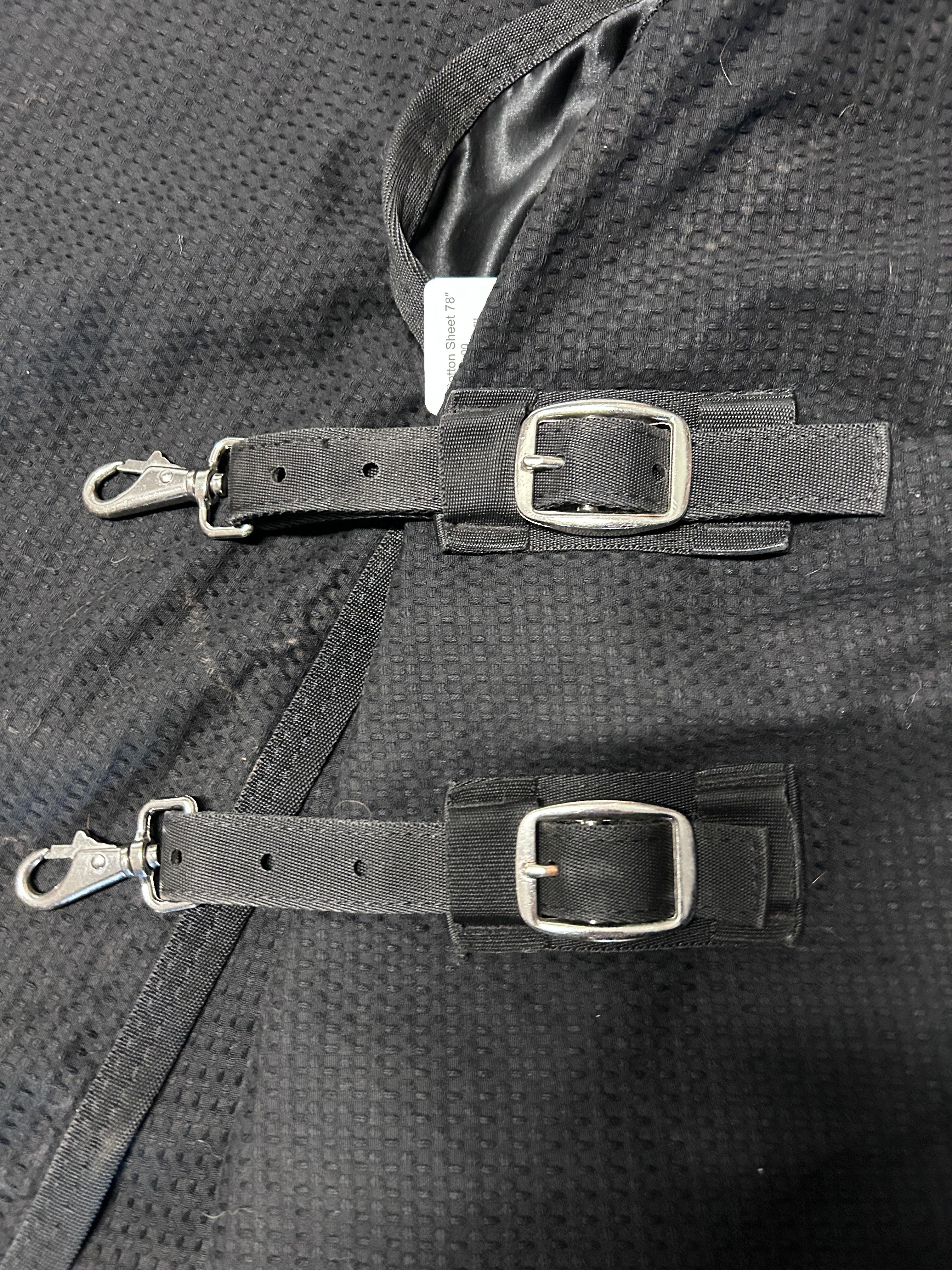Black Cotton Sheet 78"-Horse Blanket-Consignment-Evolution Equestrian Co.