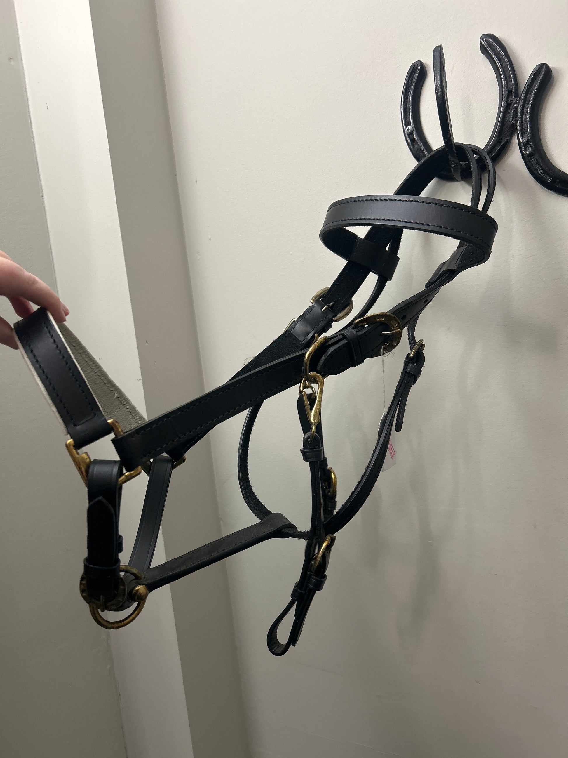 Black Leather Halter Bridle-Bridle-Consignment-Evolution Equestrian Co.