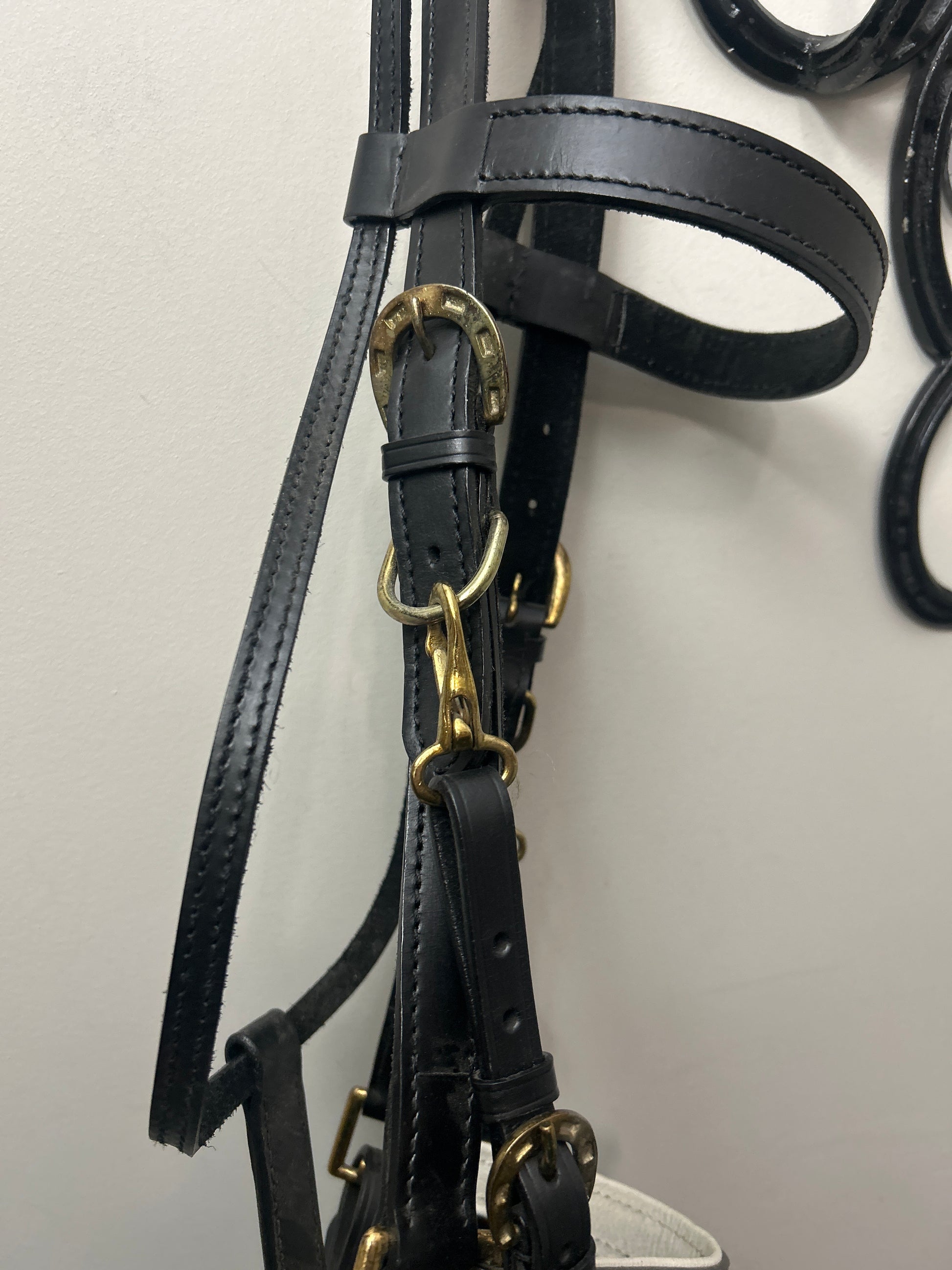 Black Leather Halter Bridle-Bridle-Consignment-Evolution Equestrian Co.