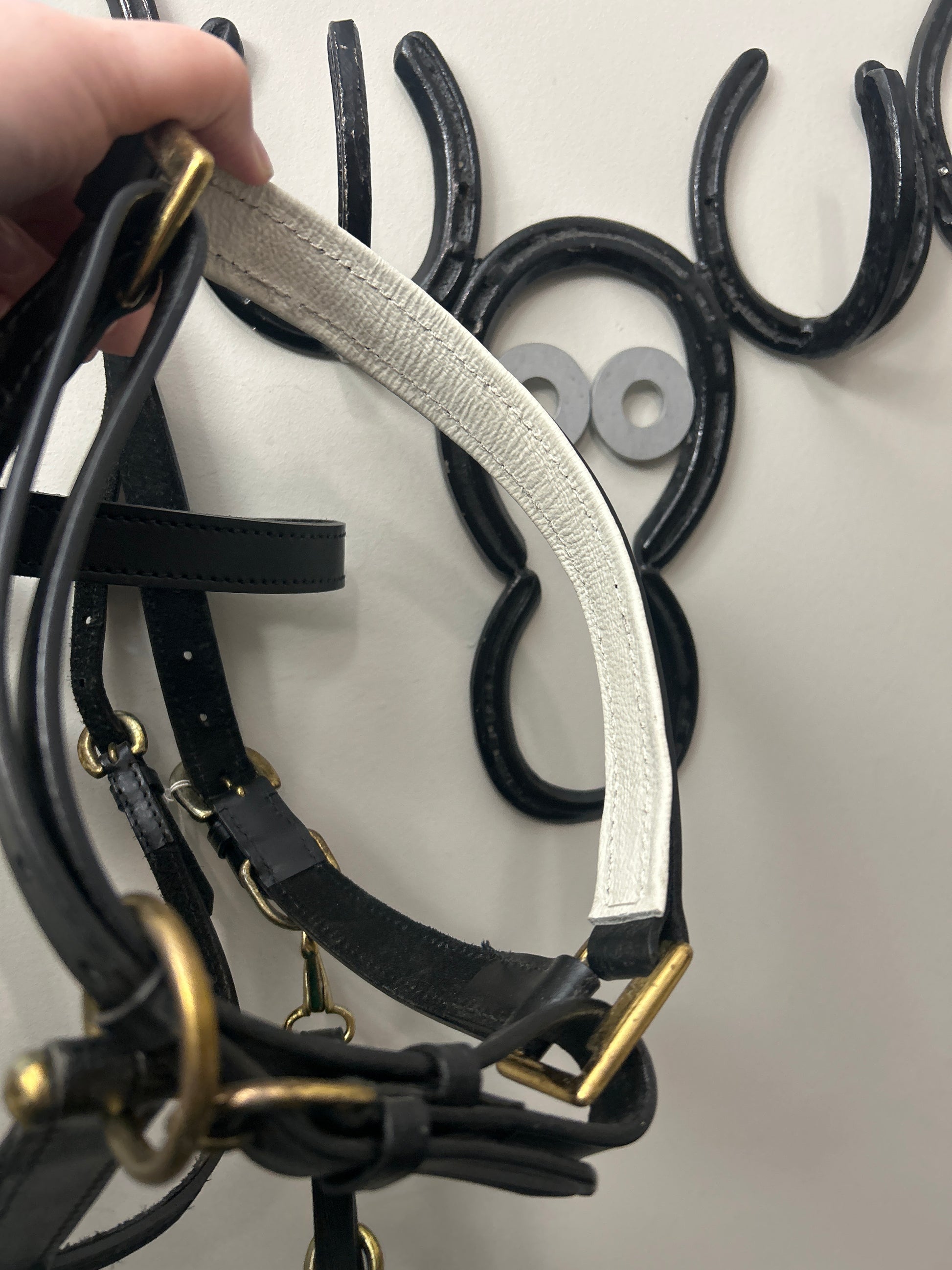 Black Leather Halter Bridle-Bridle-Consignment-Evolution Equestrian Co.