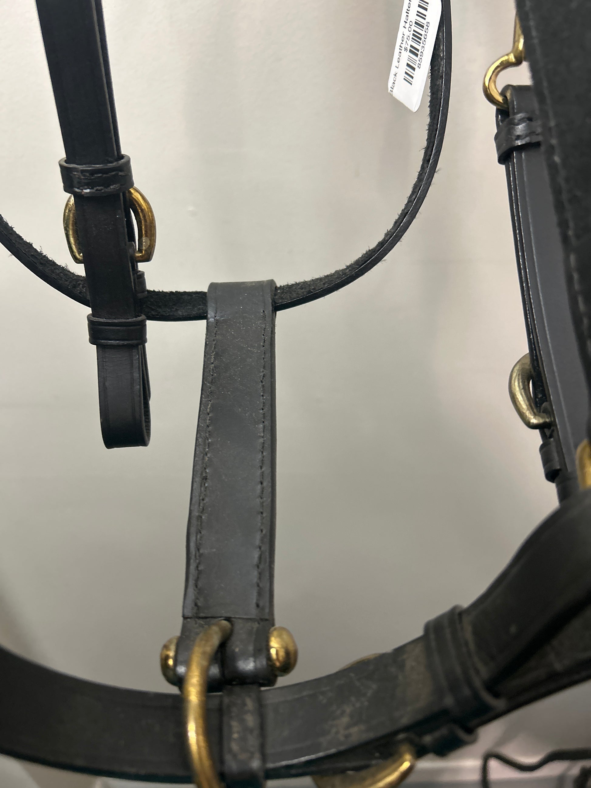 Black Leather Halter Bridle-Bridle-Consignment-Evolution Equestrian Co.