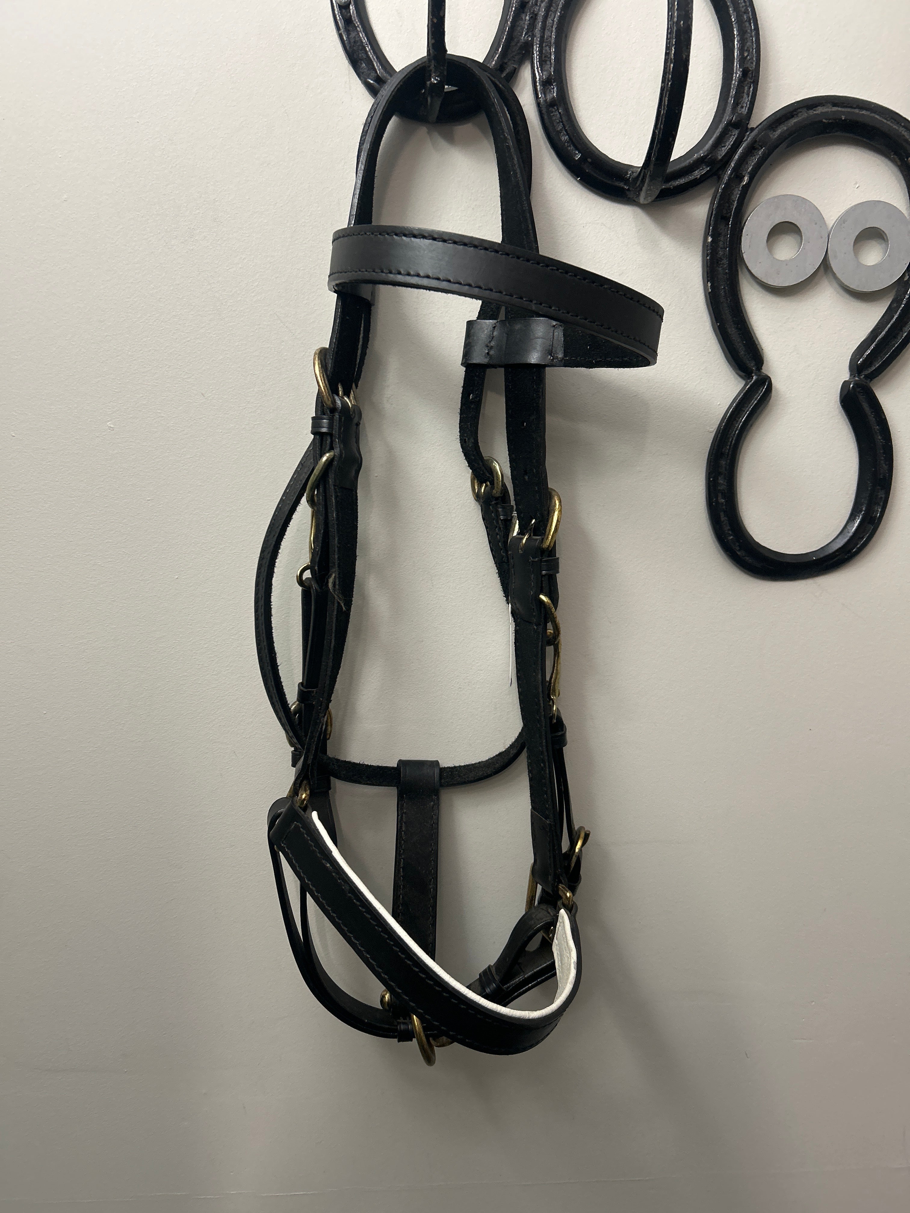 Black Leather Halter Bridle-Bridle-Consignment-Evolution Equestrian Co.