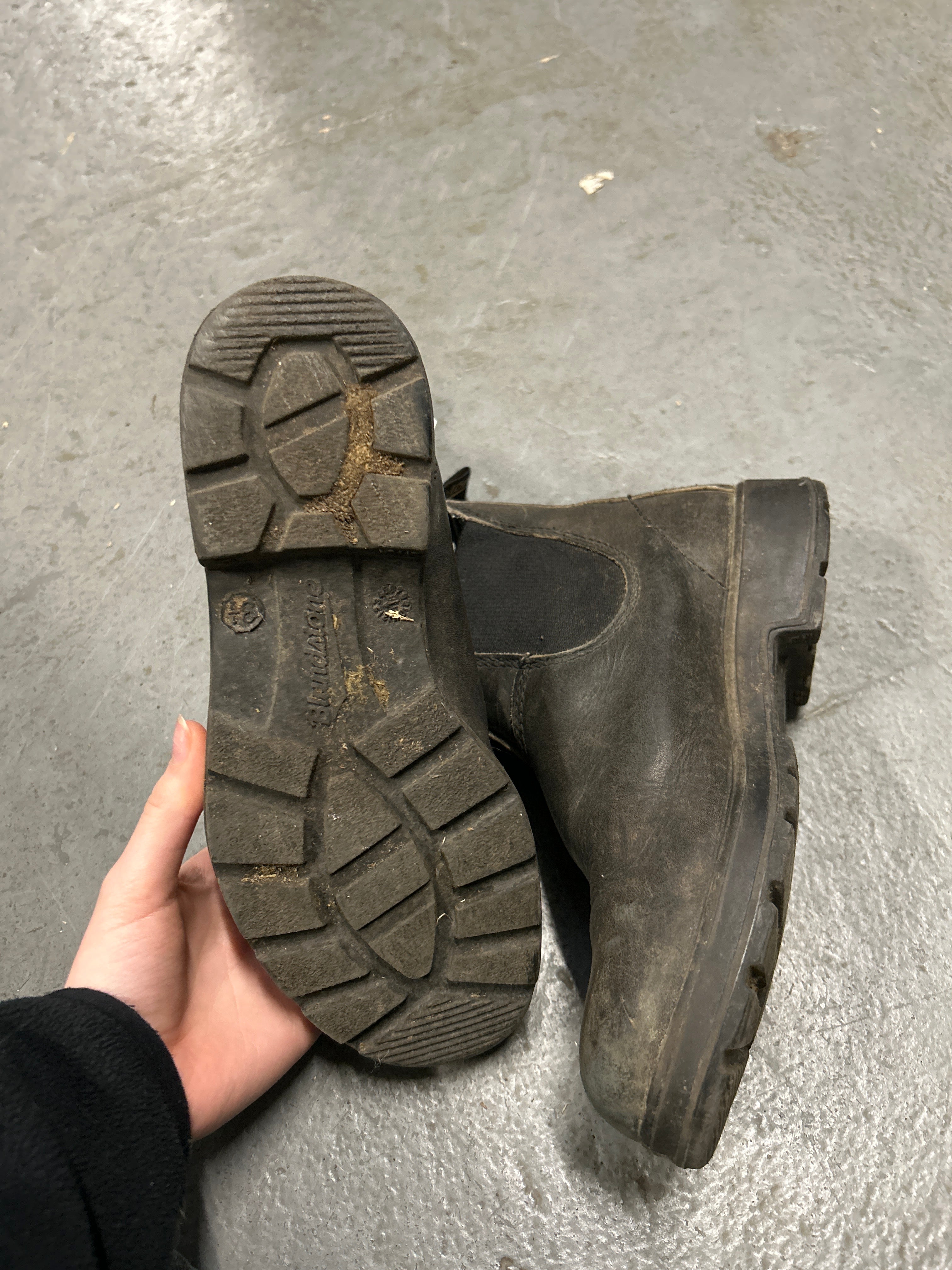 Blundstone Boots 3.5-Riding Boots-Consignment-Evolution Equestrian Co.
