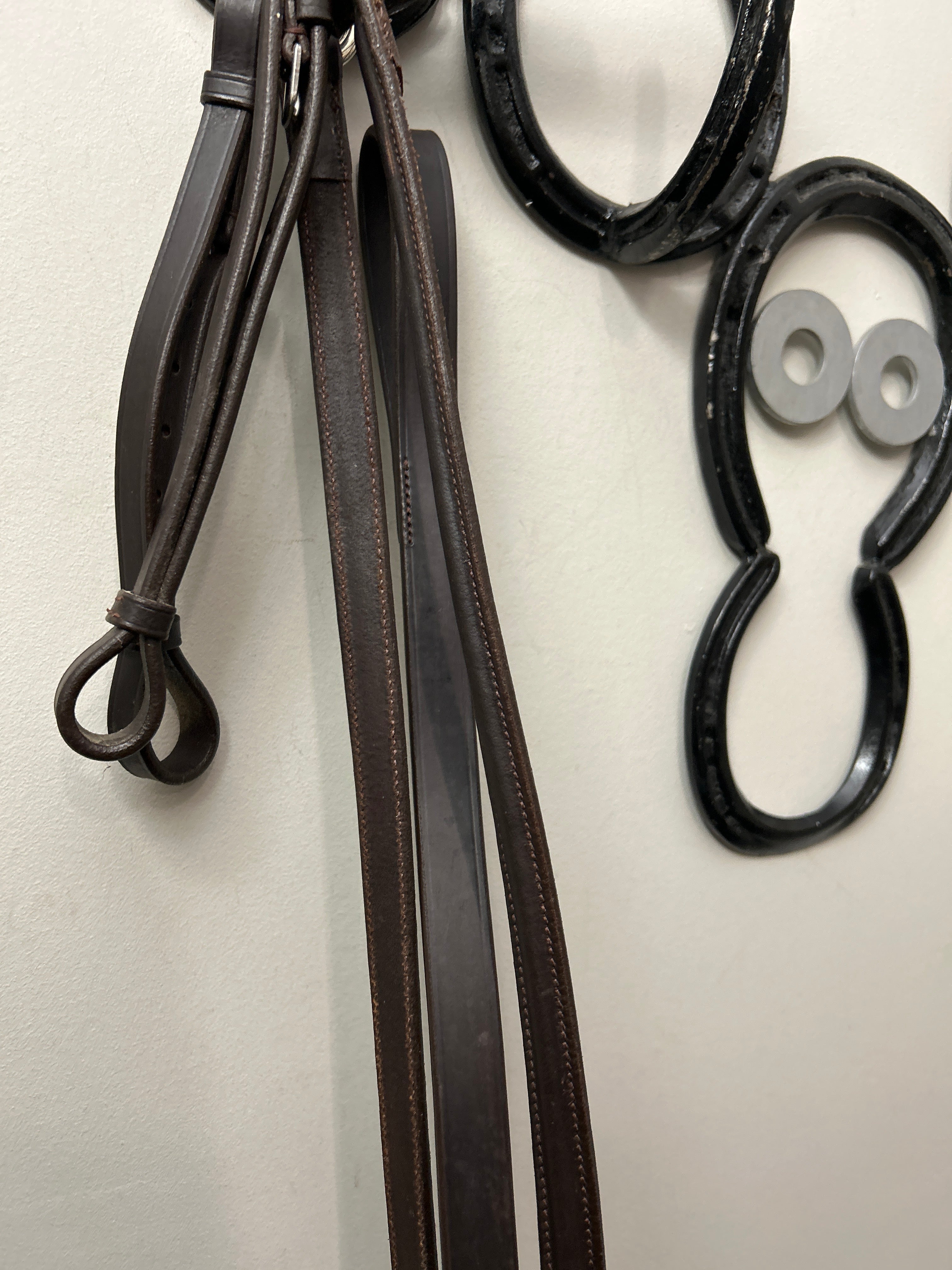 Brown Leather with Standing Martingale Full-English Tack-Consignment-Evolution Equestrian Co.