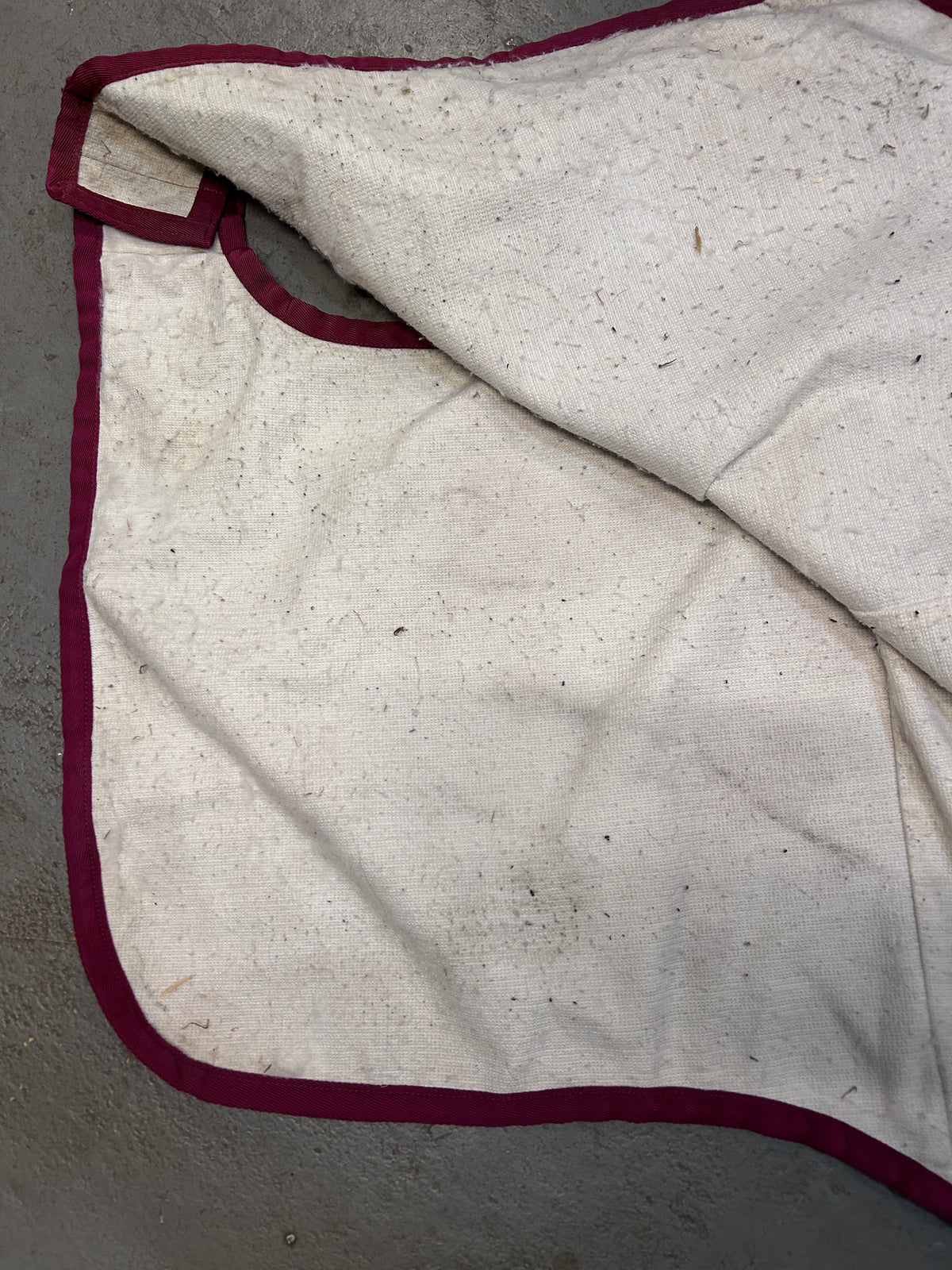 Bucas Quarter Sheet Hunter Green 81"-Horse Blankets & Sheets-Consignment-Evolution Equestrian Co.