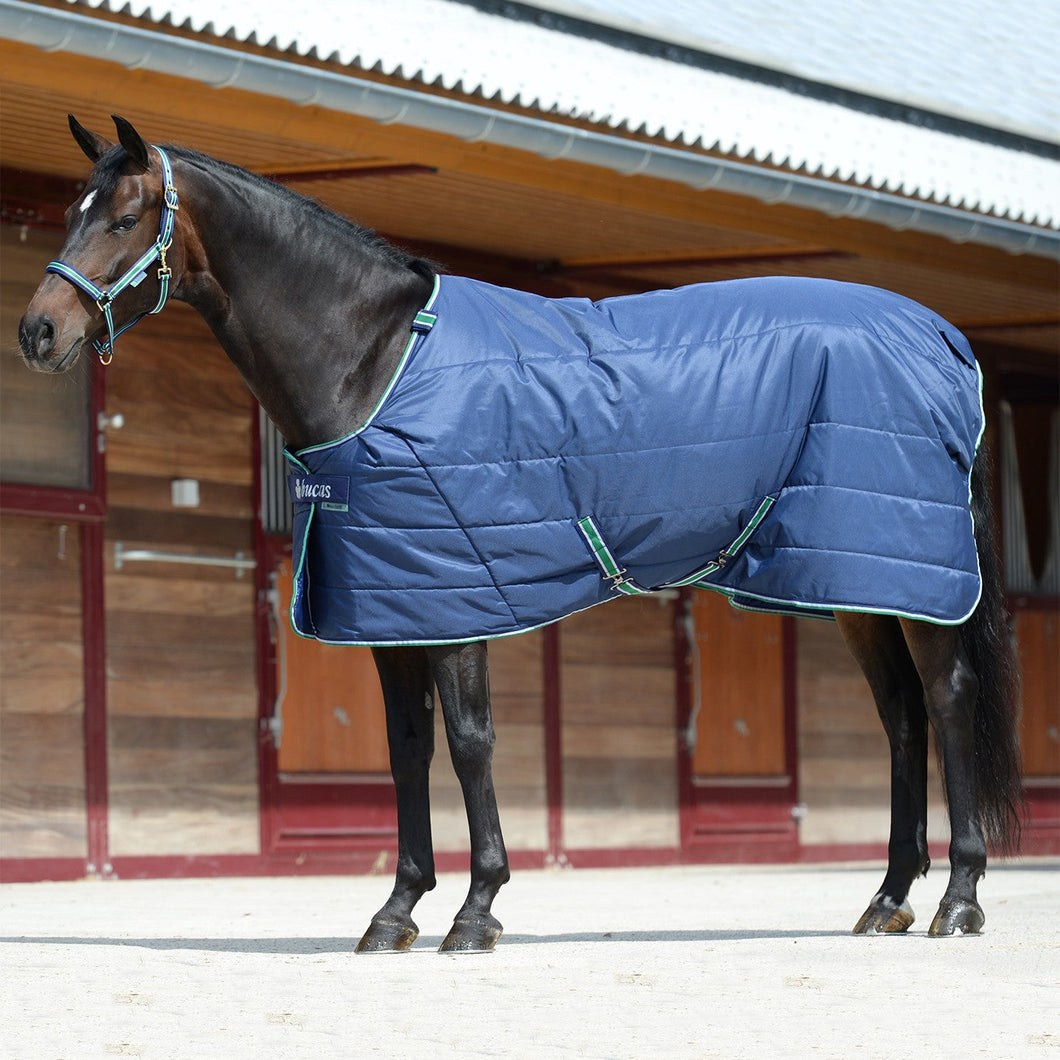 Bucas Quilt Stable Blanket Silk-Feel 150 g-Horse Blanket-Consignment-Evolution Equestrian Co.