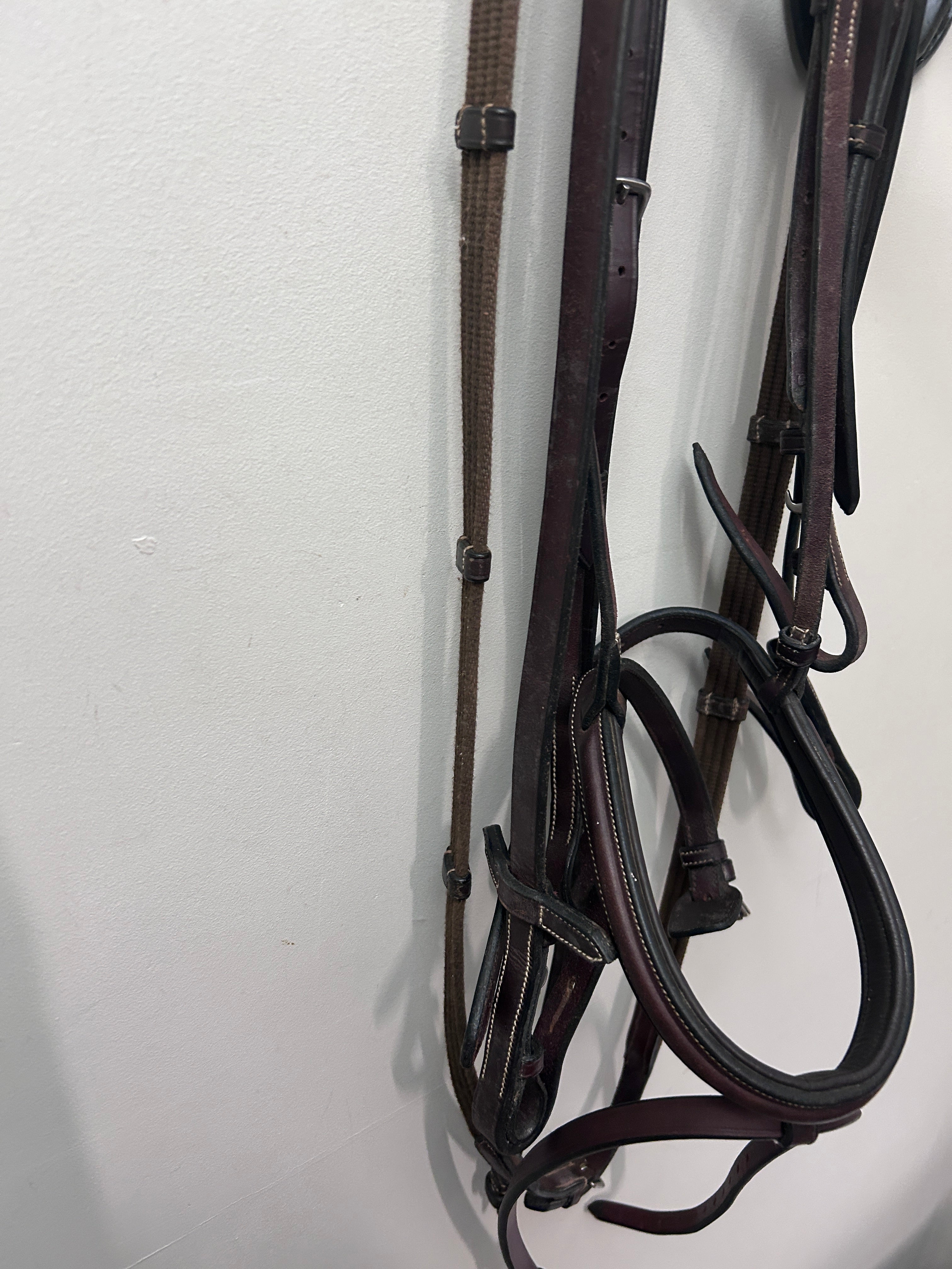 HDR English Bridle with Flash and Reins