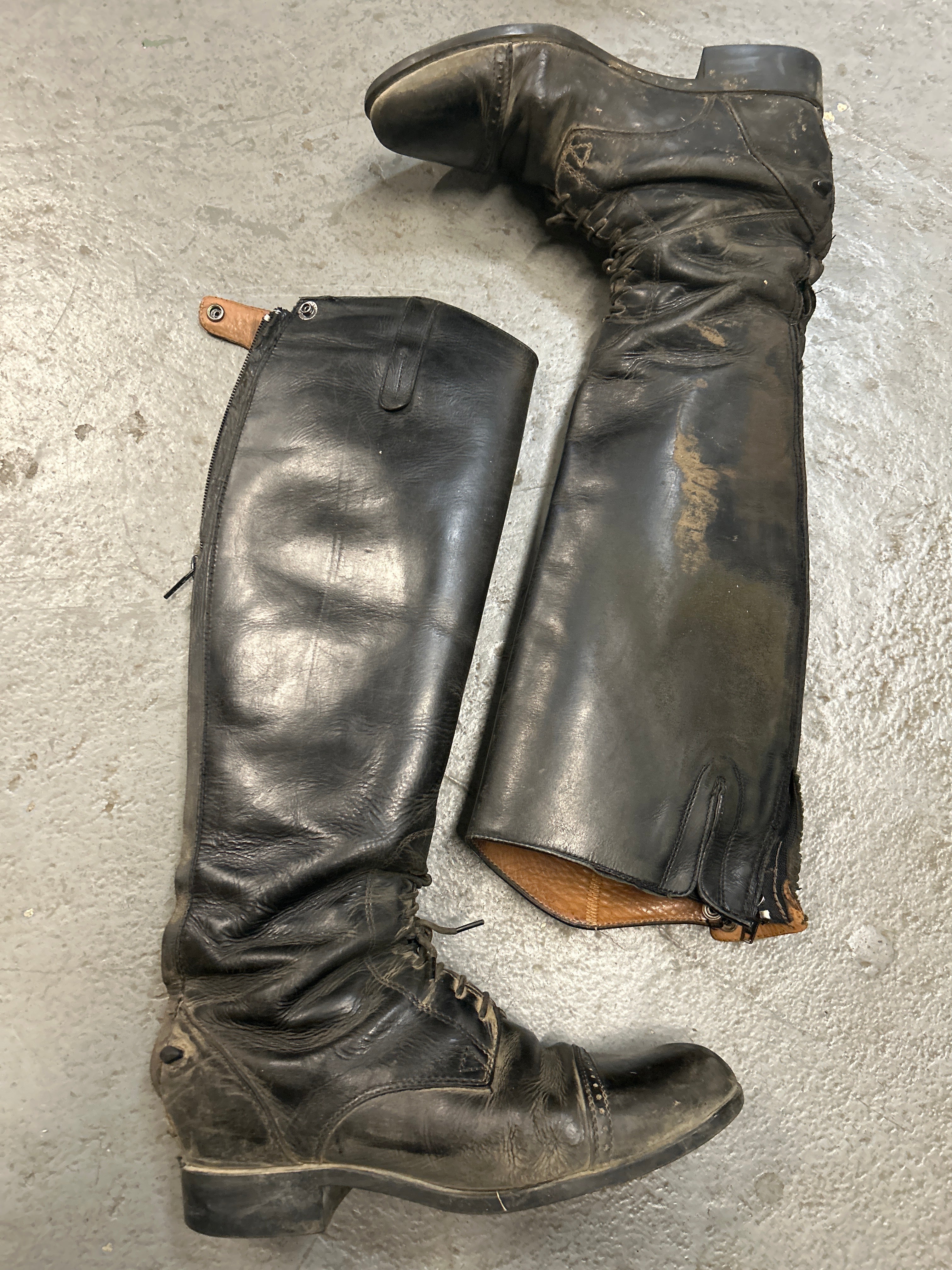 Ariat Field Boots 8 Reg/Tall