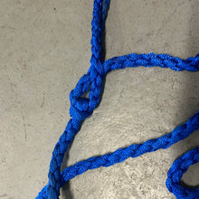 Load image into Gallery viewer, Blue Mule Tape Halter with Lead
