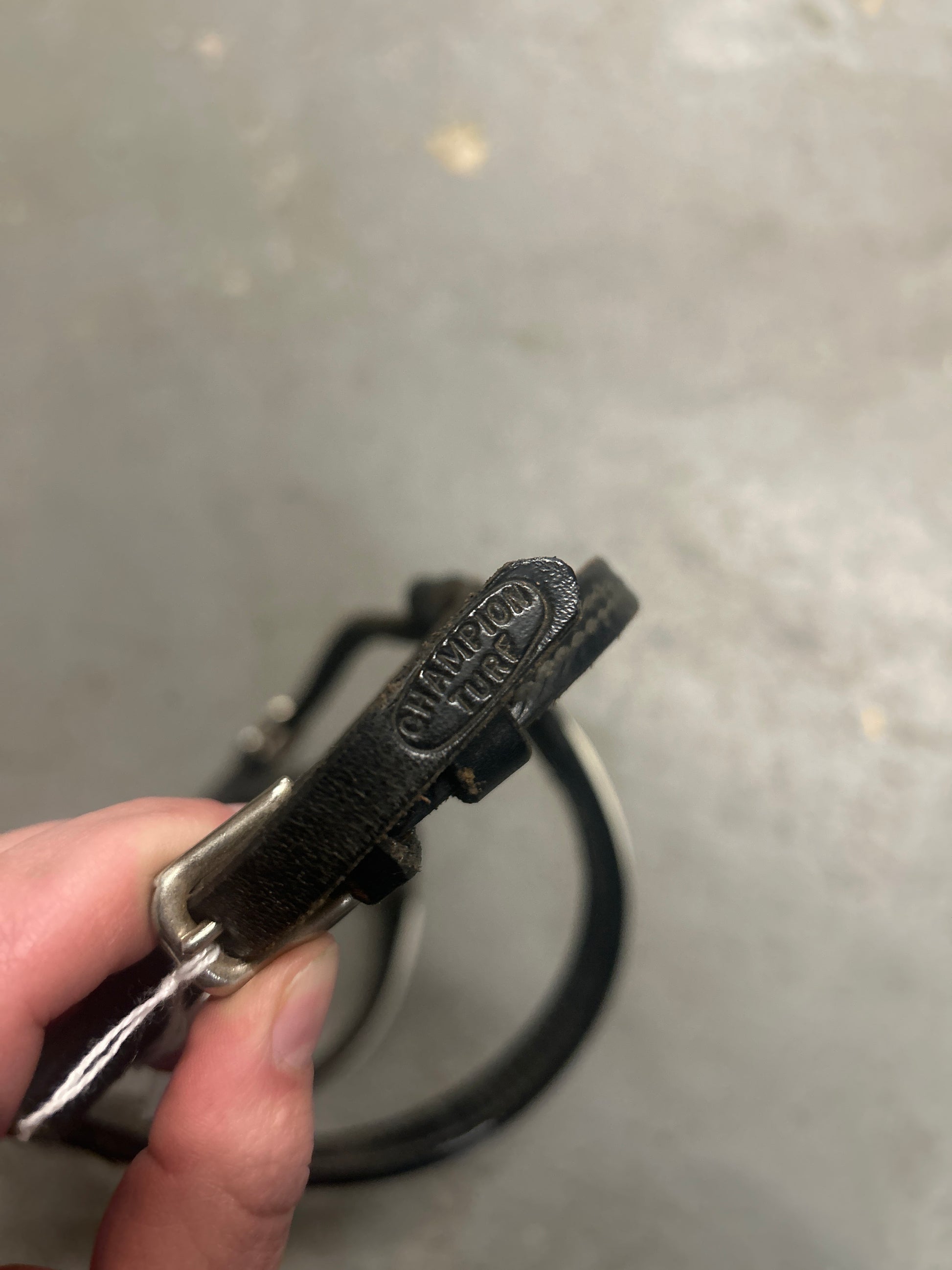 Champion Turf Foal Show Halter-Horse Halters-Consignment-Evolution Equestrian Co.