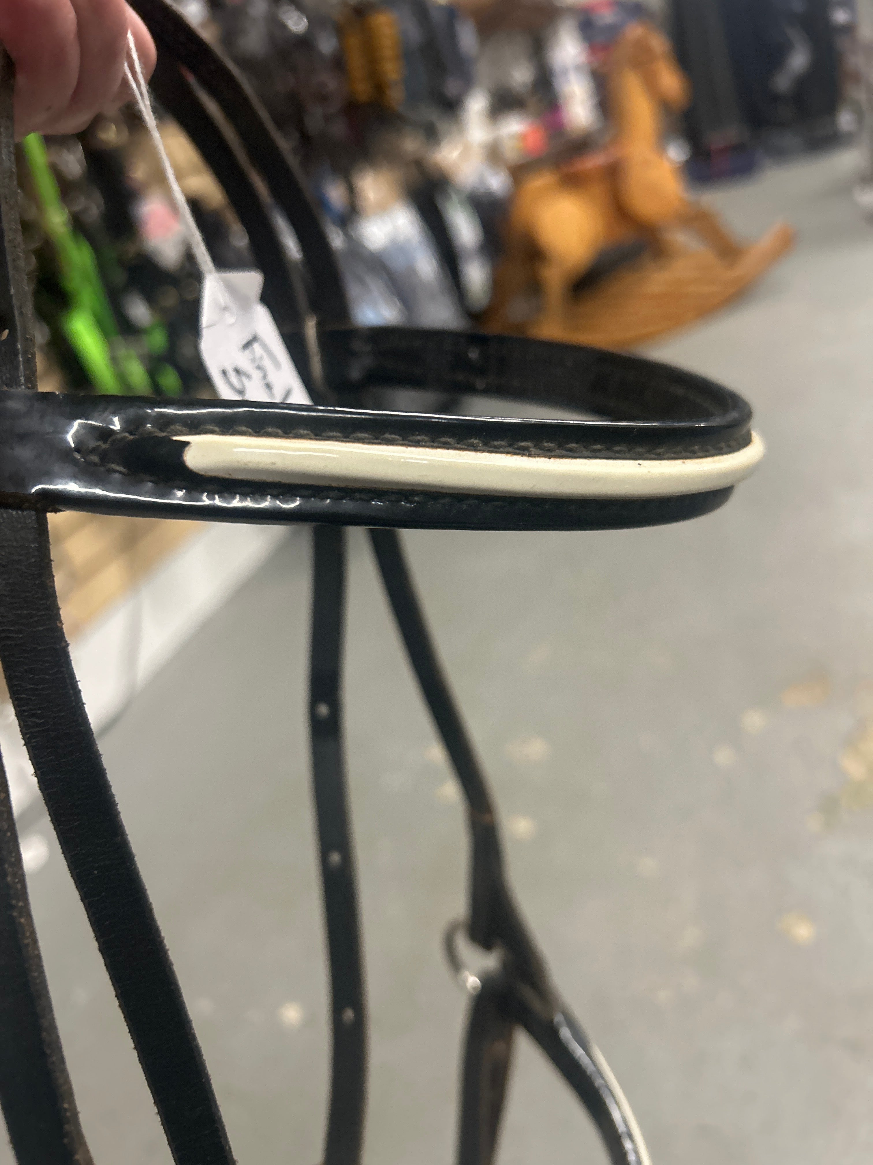 Champion Turf Foal Show Halter-Horse Halters-Consignment-Evolution Equestrian Co.