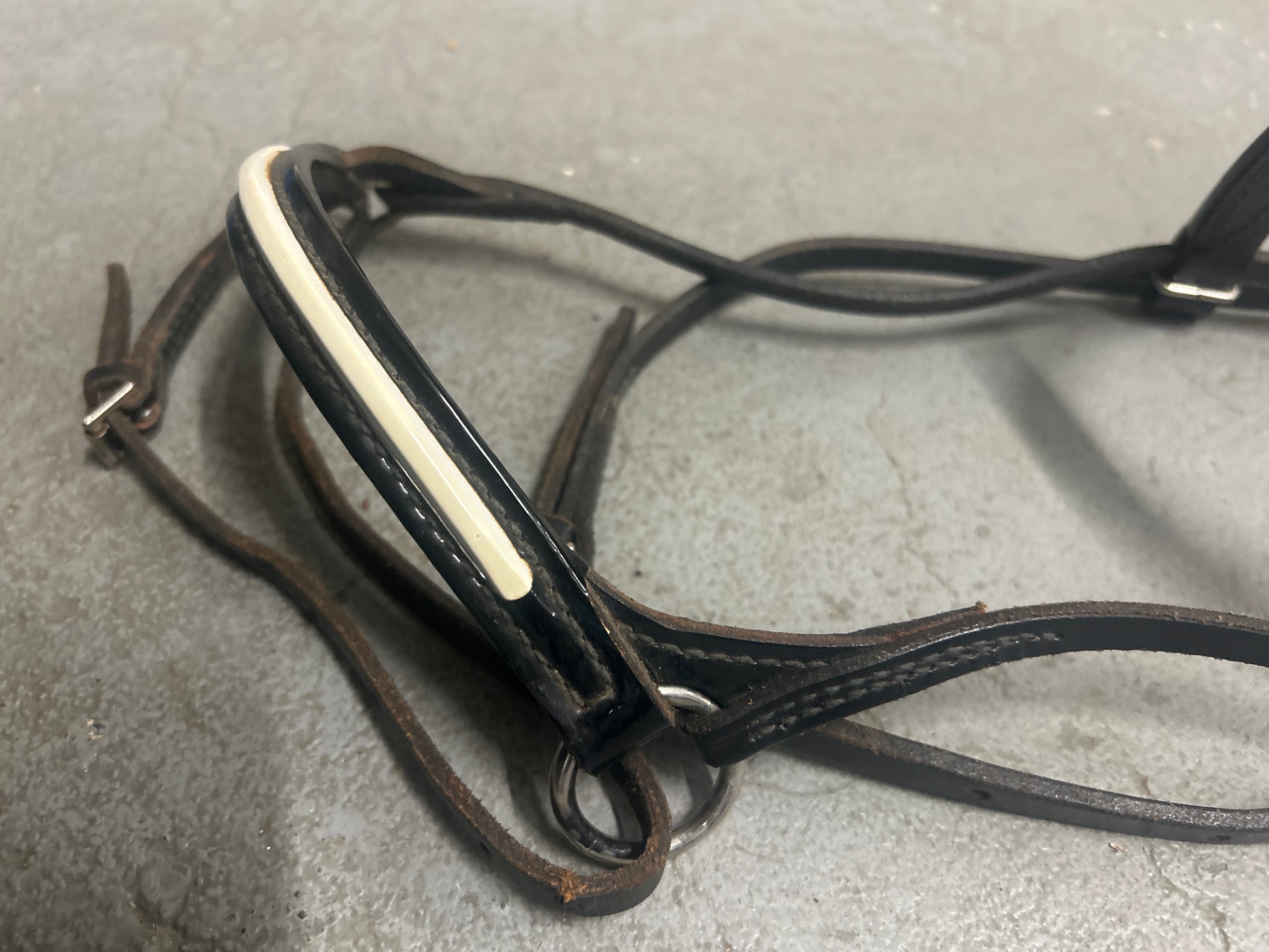 Champion Turf Foal Show Halter-Horse Halters-Consignment-Evolution Equestrian Co.